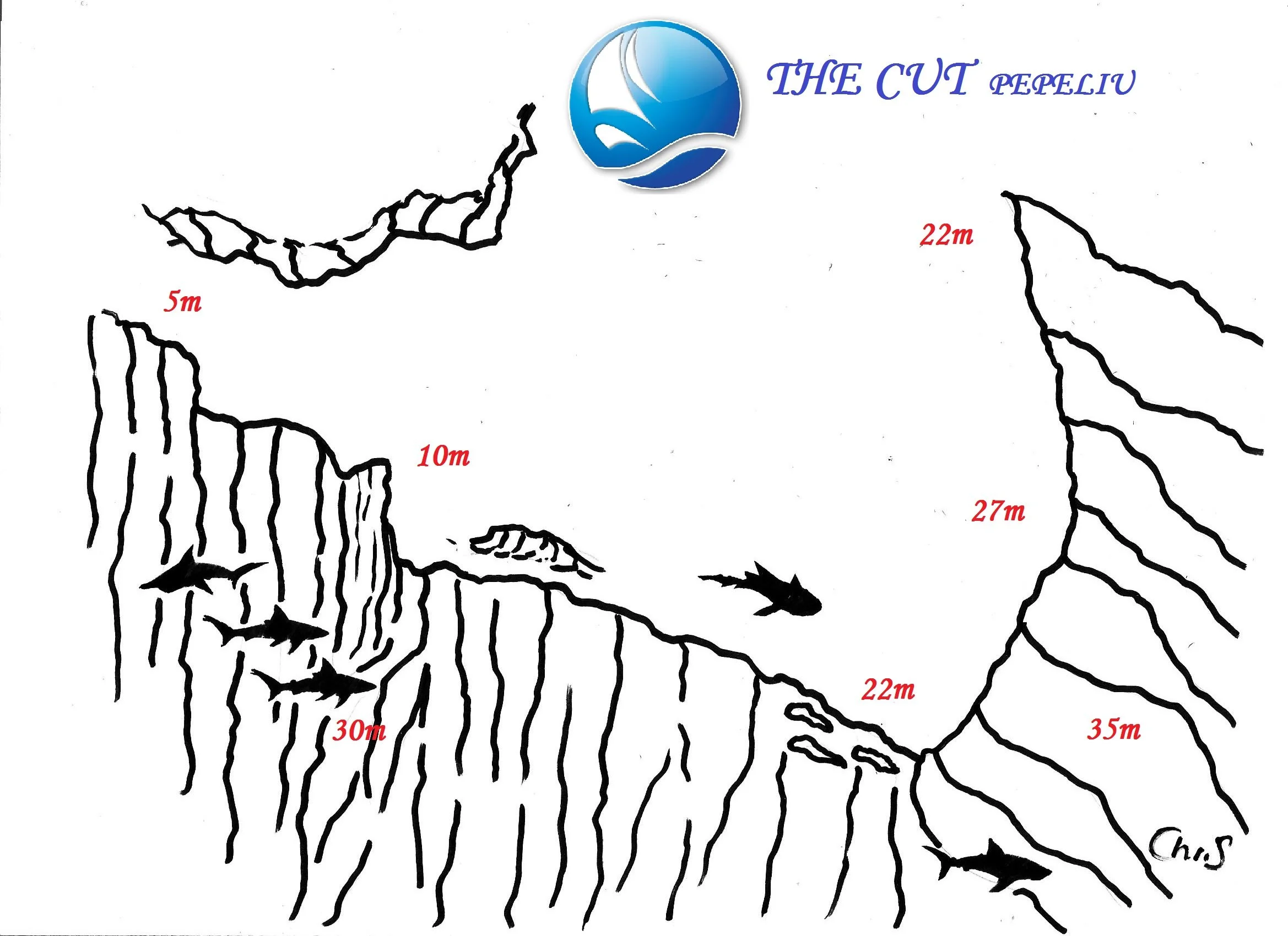 THE CUT 1.jpg