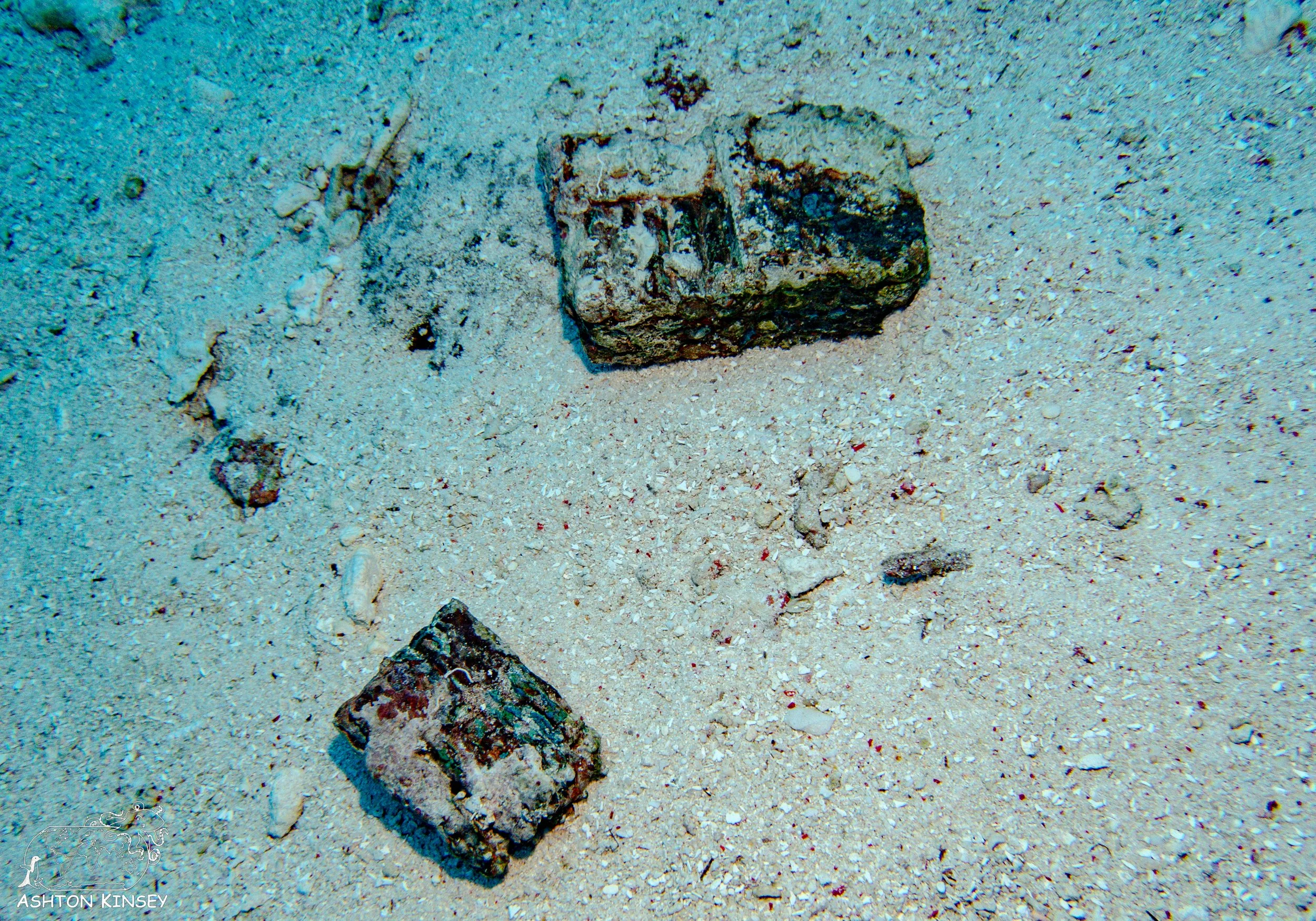 Orange Beach-12.jpg