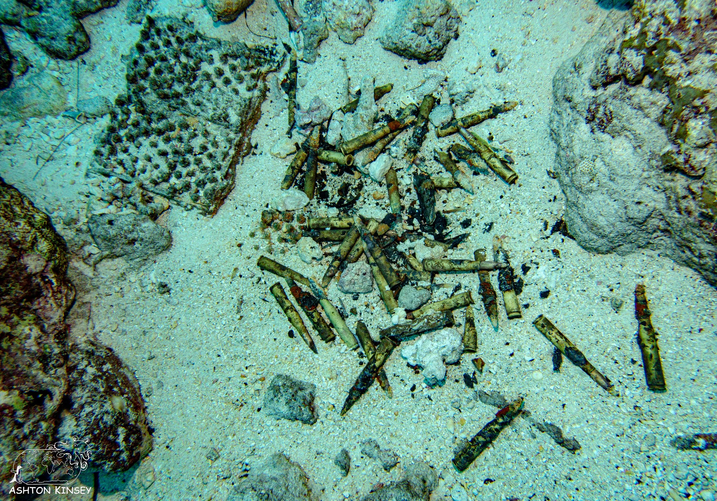 Orange Beach-21.jpg