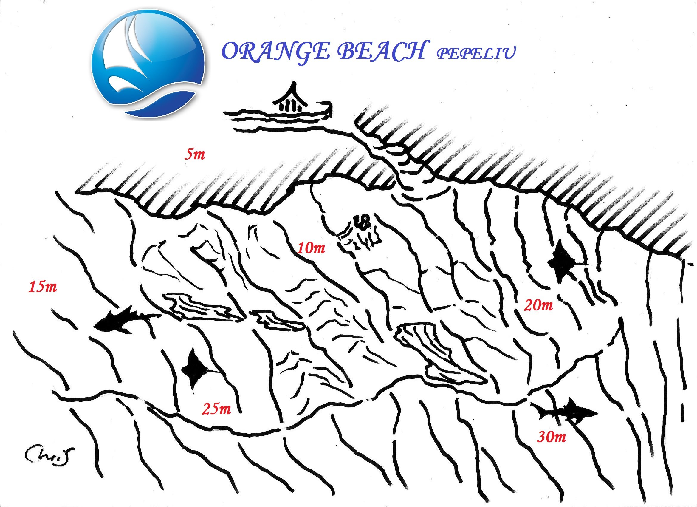ORANGE BEACH 1.jpg