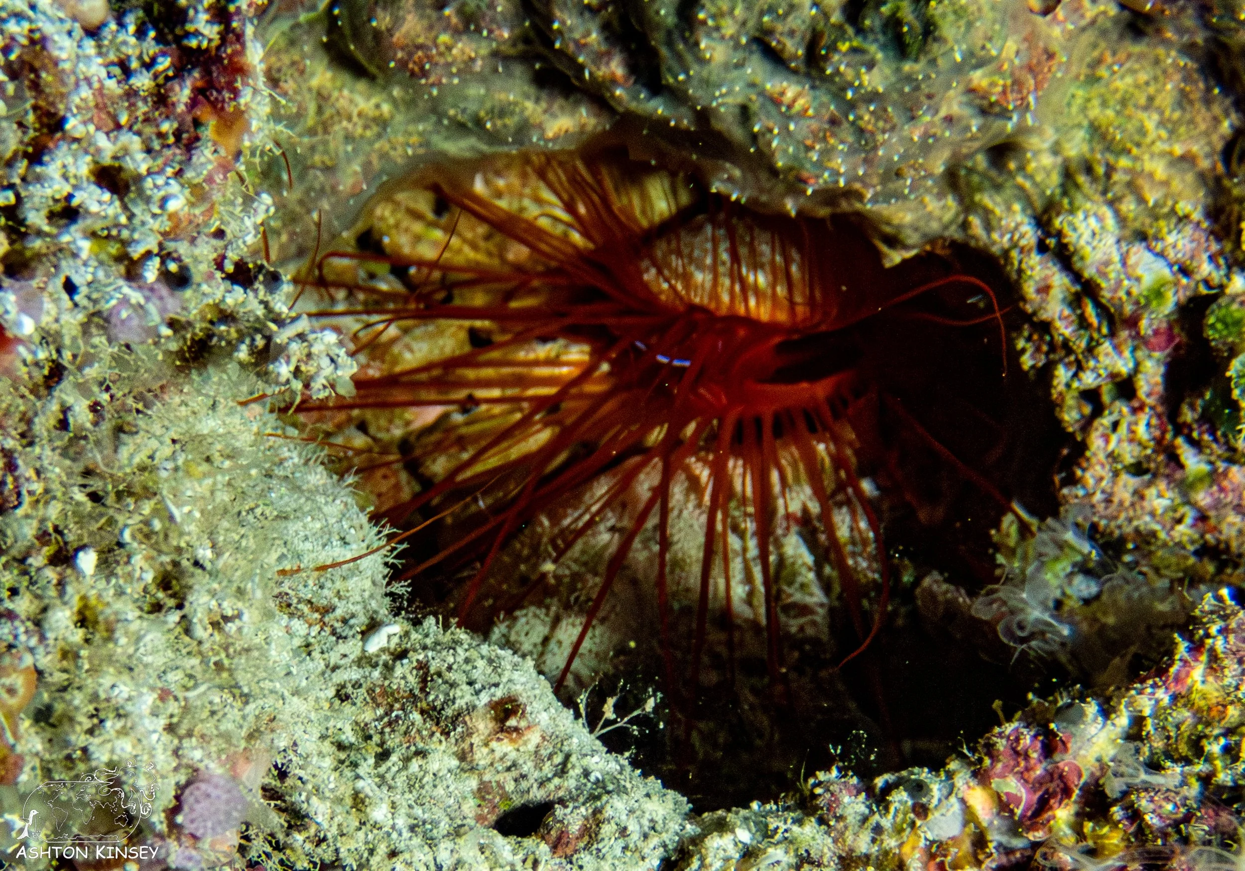Turtle Cove-6.jpg