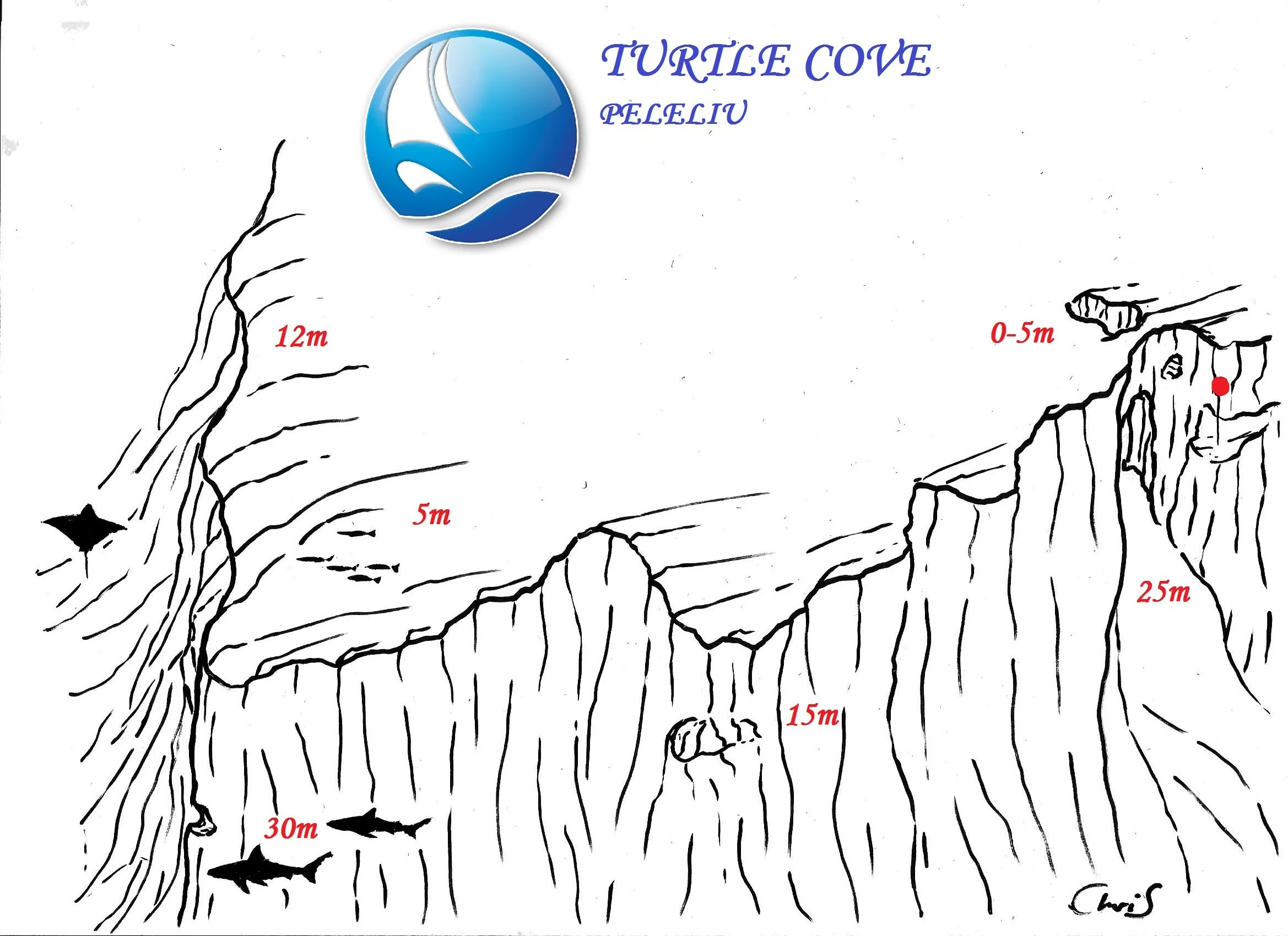 TURTLE COVE 1.jpg