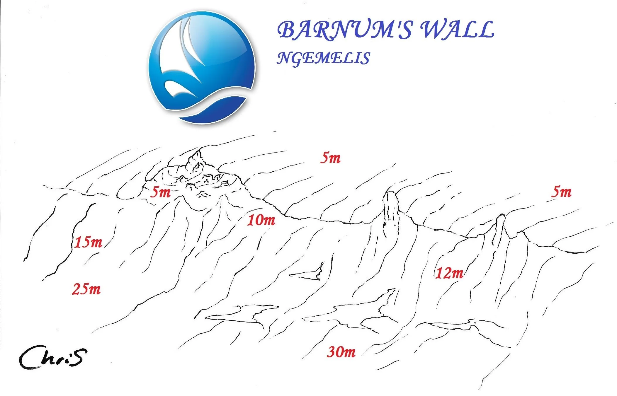 BARNUM'S WALL 1.jpg