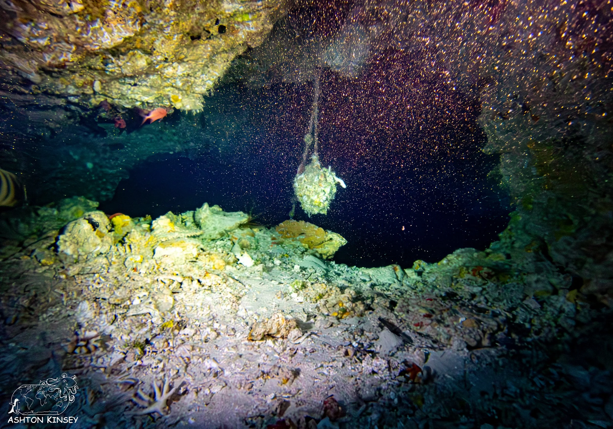 Blue Holes-8.jpg