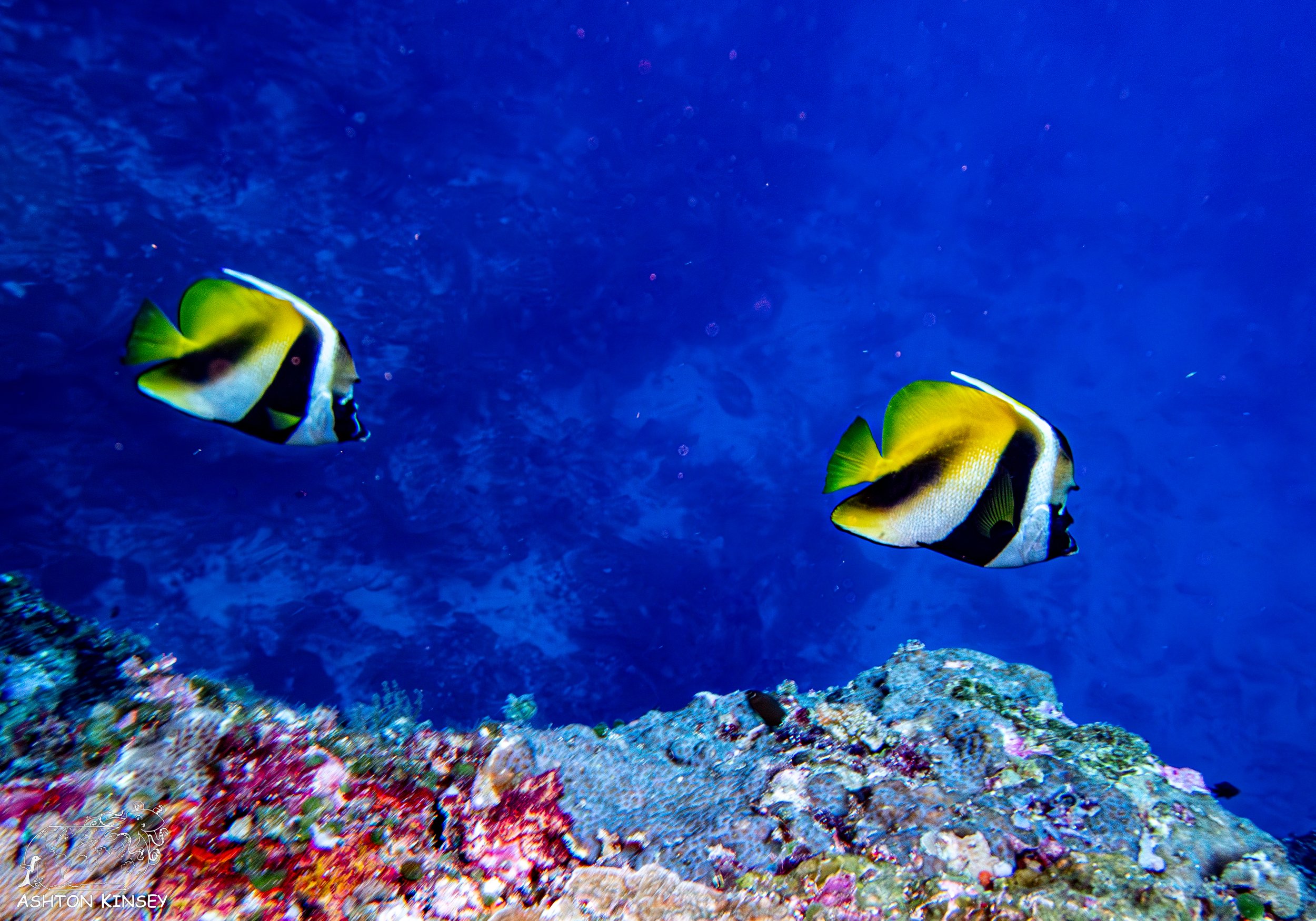 Blue Holes-15.jpg