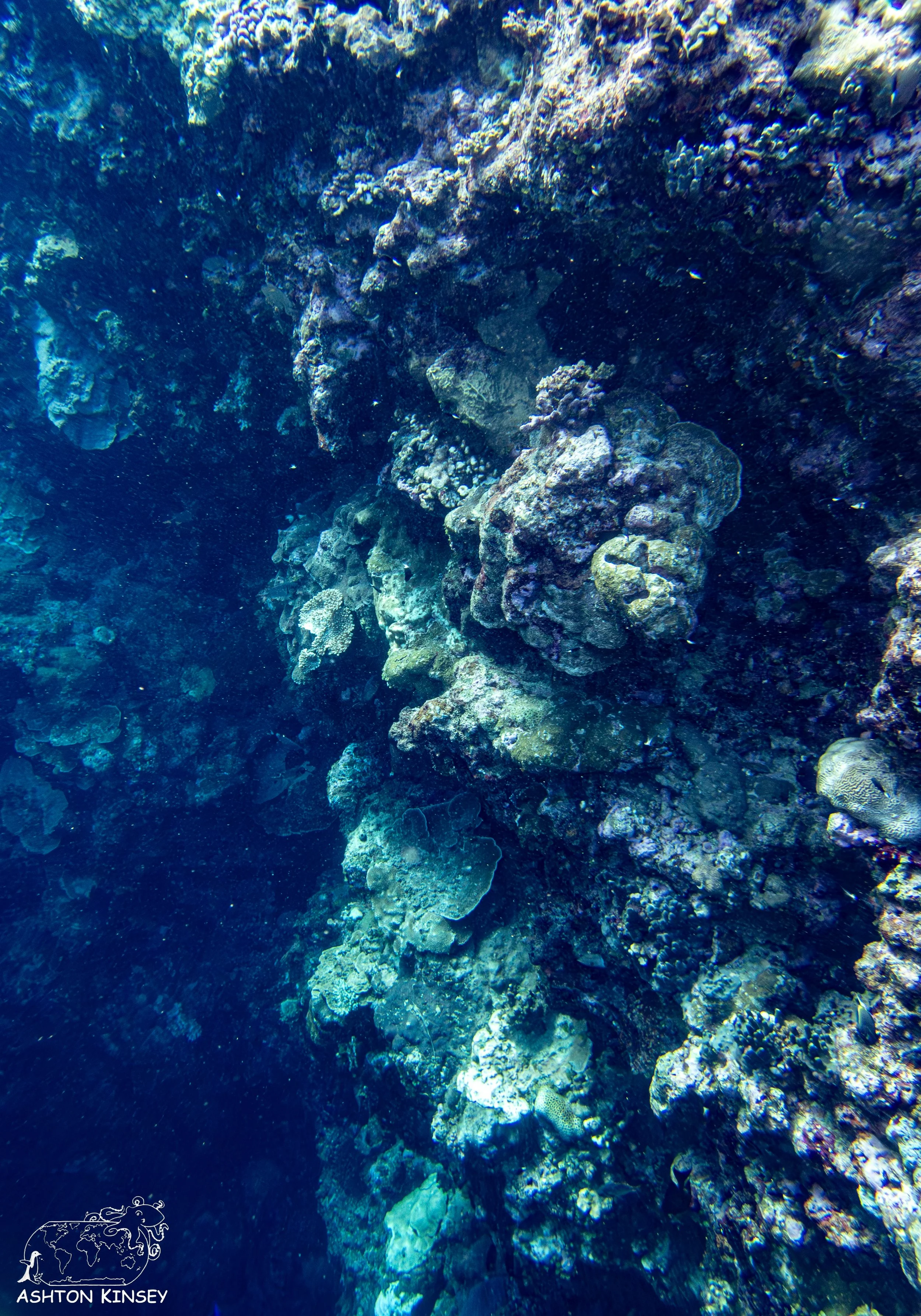 Blue Holes.jpg