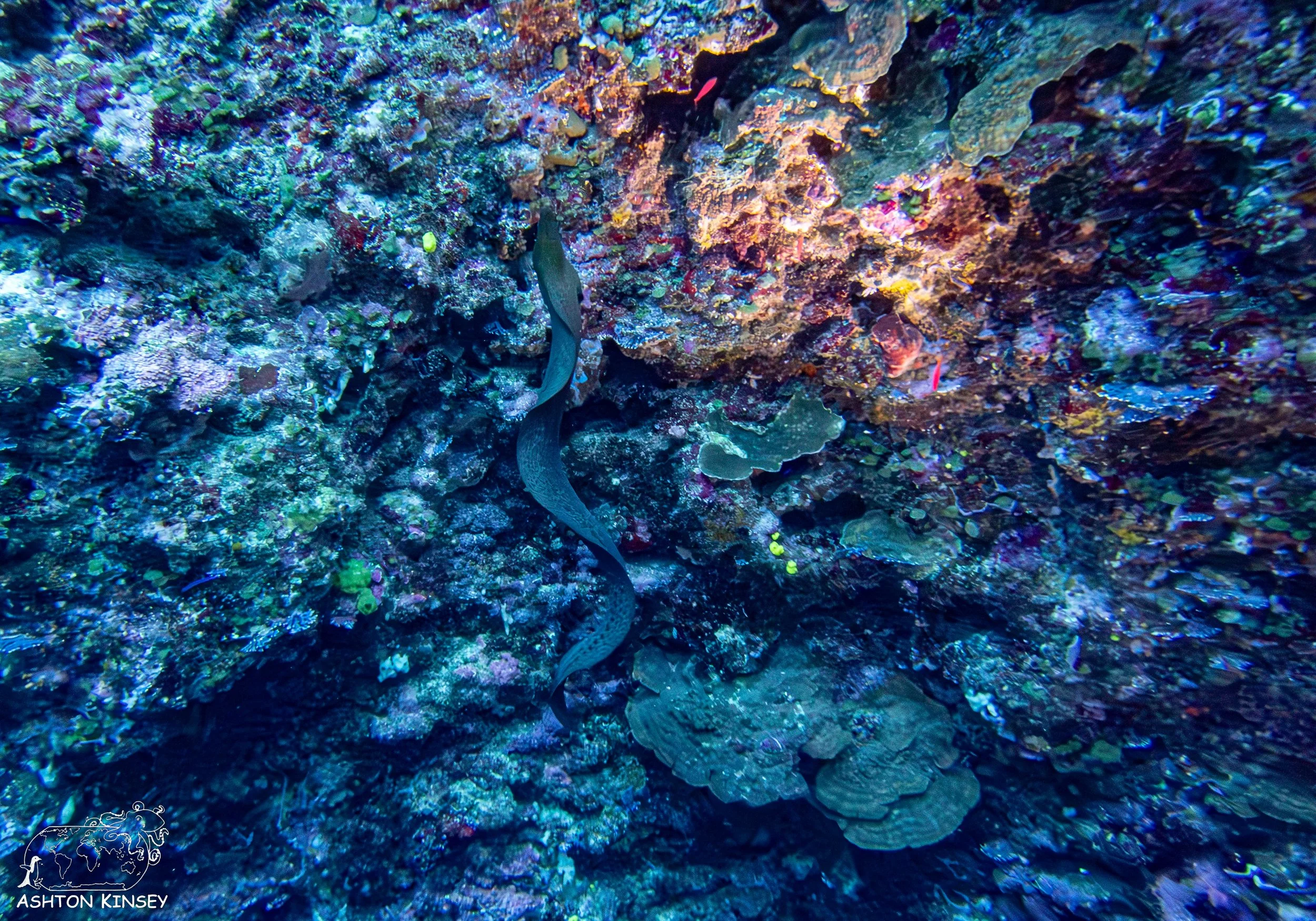 Blue Holes-1.jpg