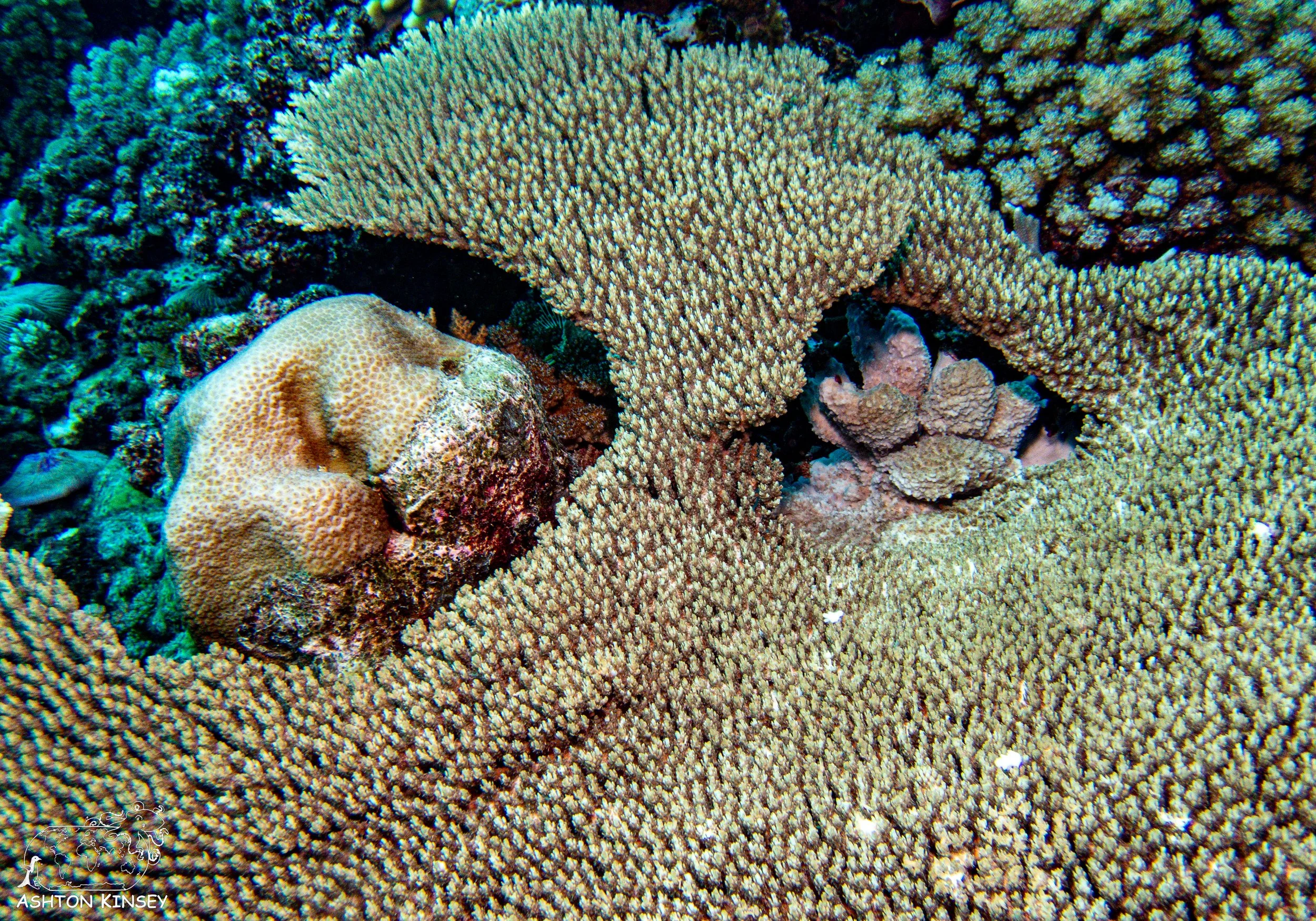 Ngerechung Outside-10.jpg