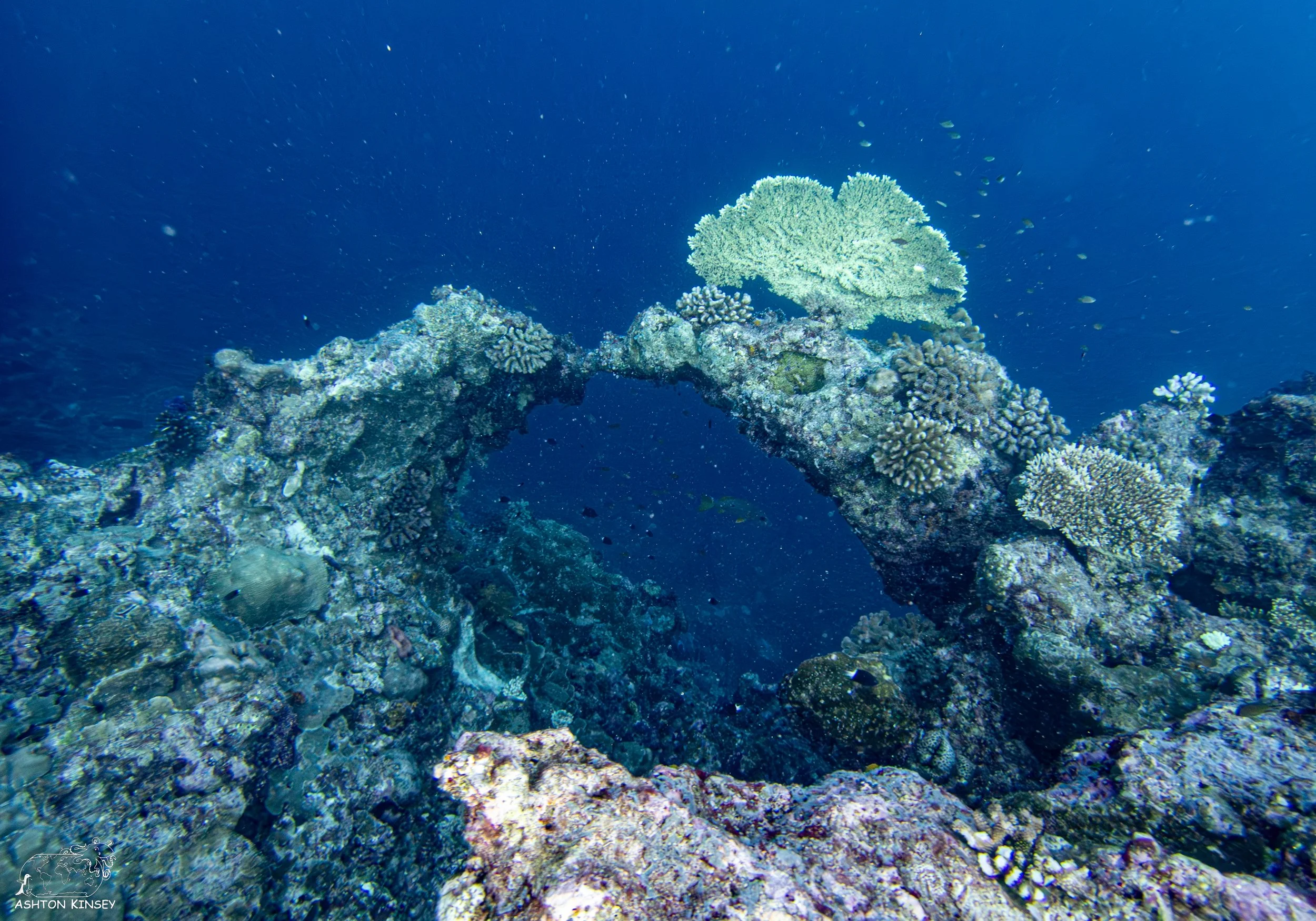 Blue Corner-1.jpg