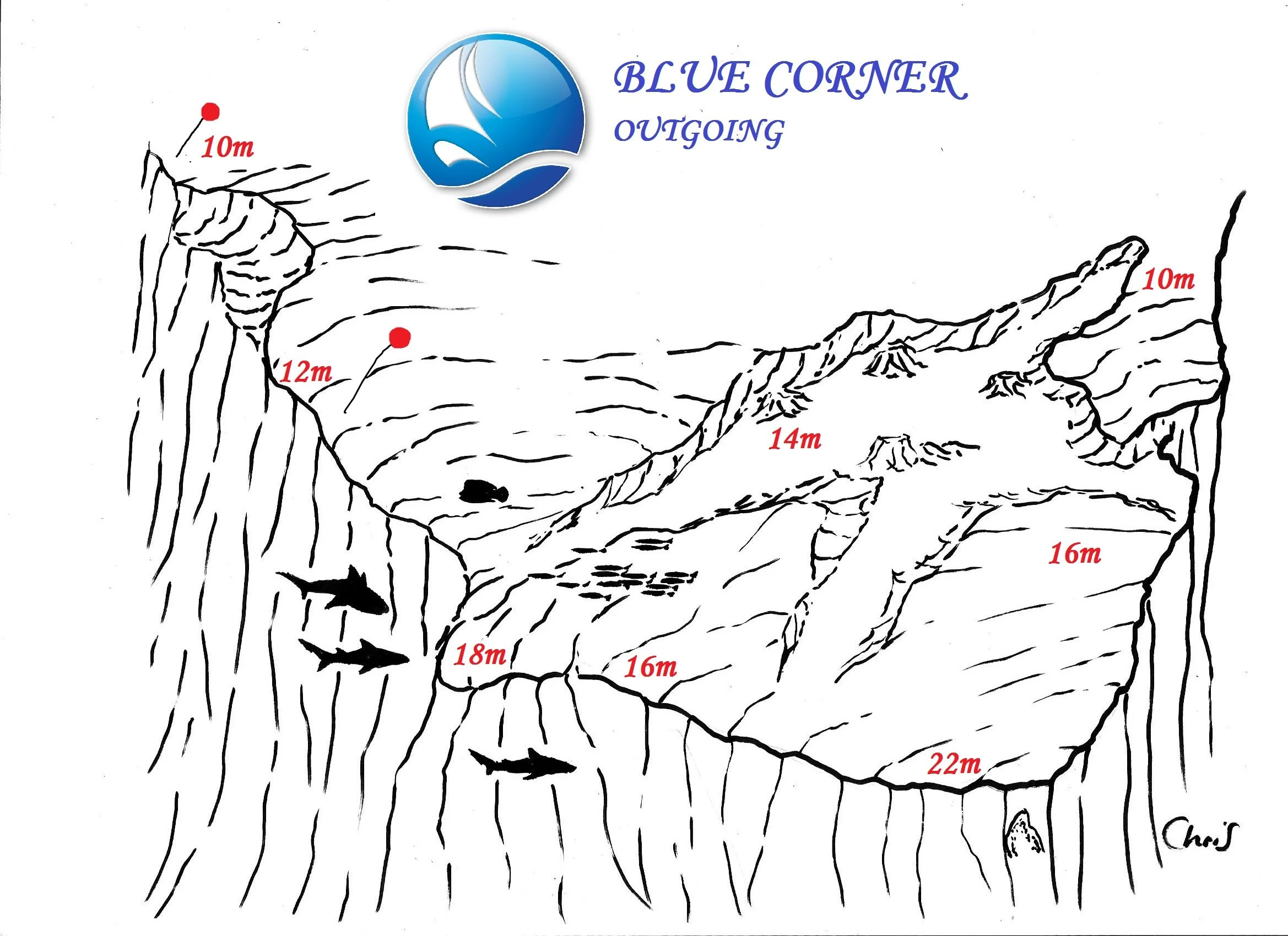 BLUE CORNER 2 OUTGOING.jpg
