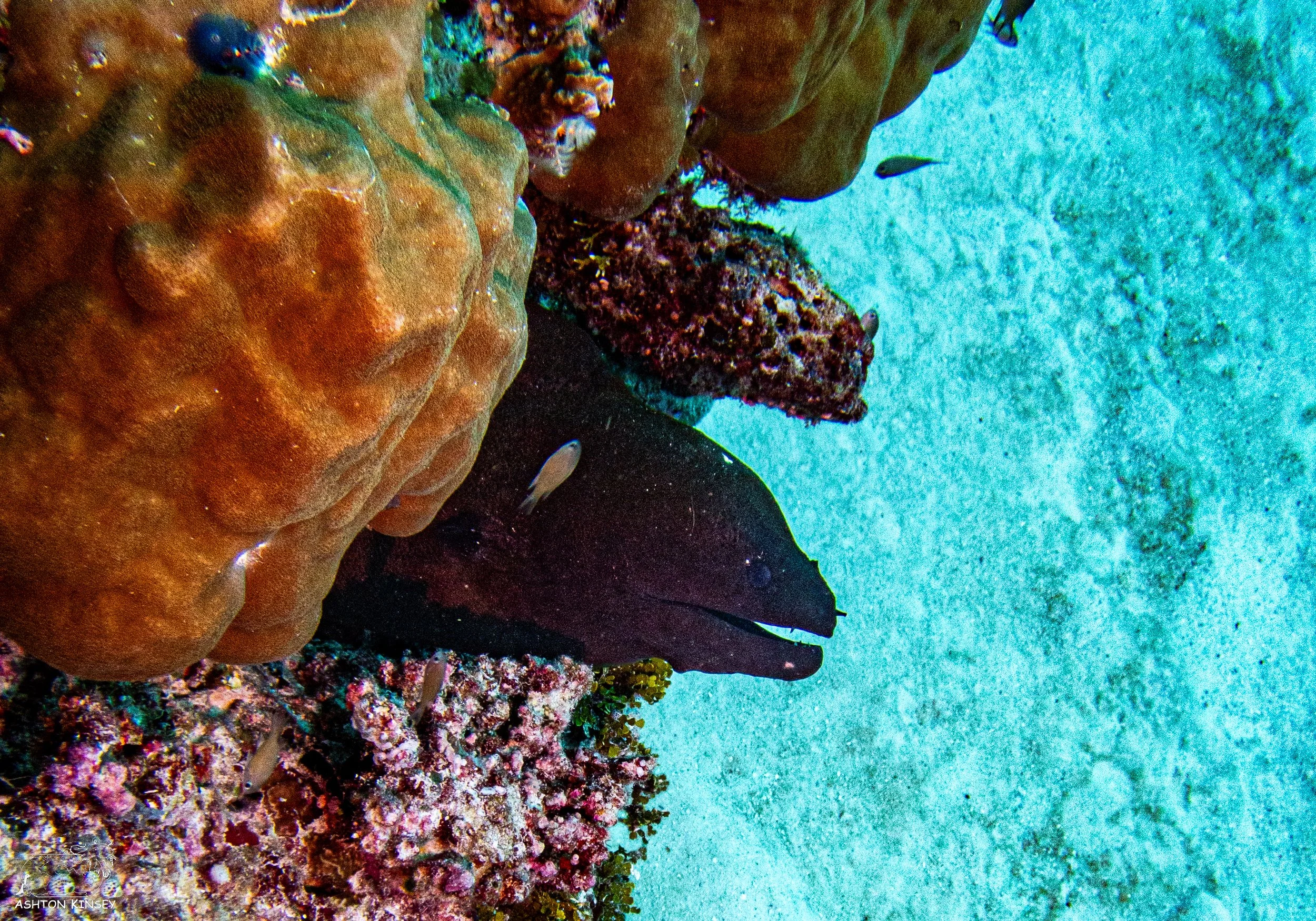 Sand Bar-10.jpg