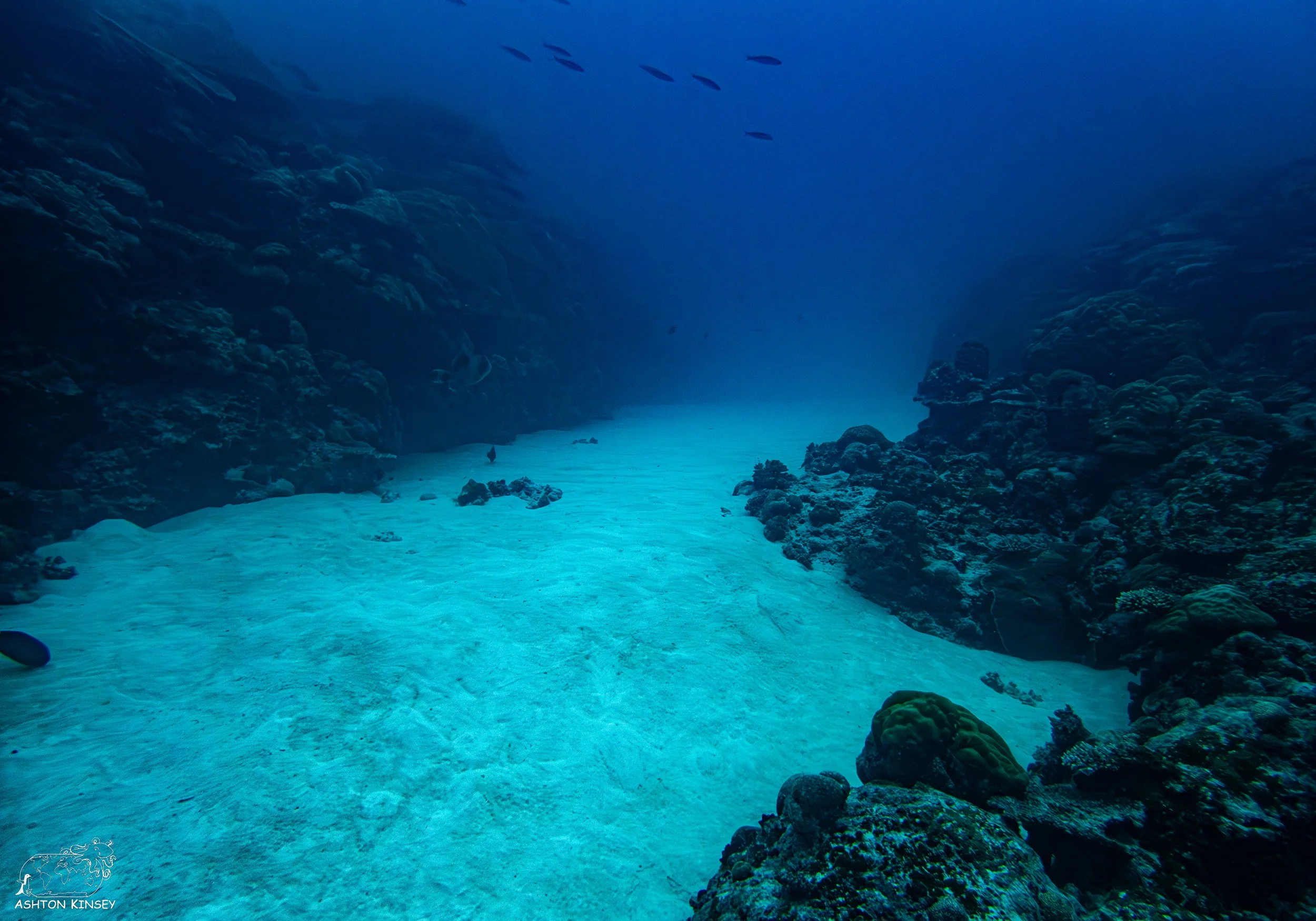 Sand Bar-11.jpg