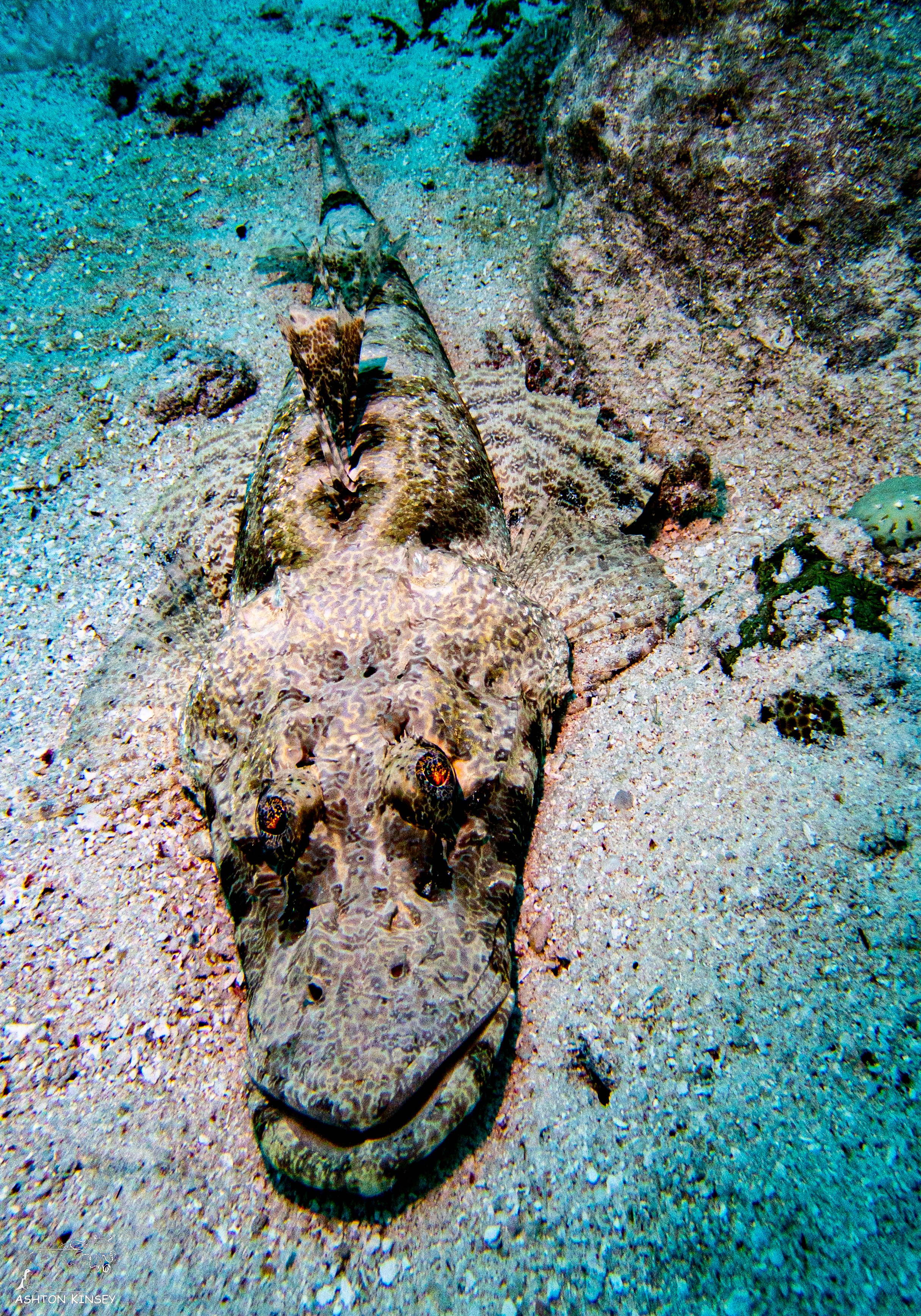 Sand Bar-13.jpg