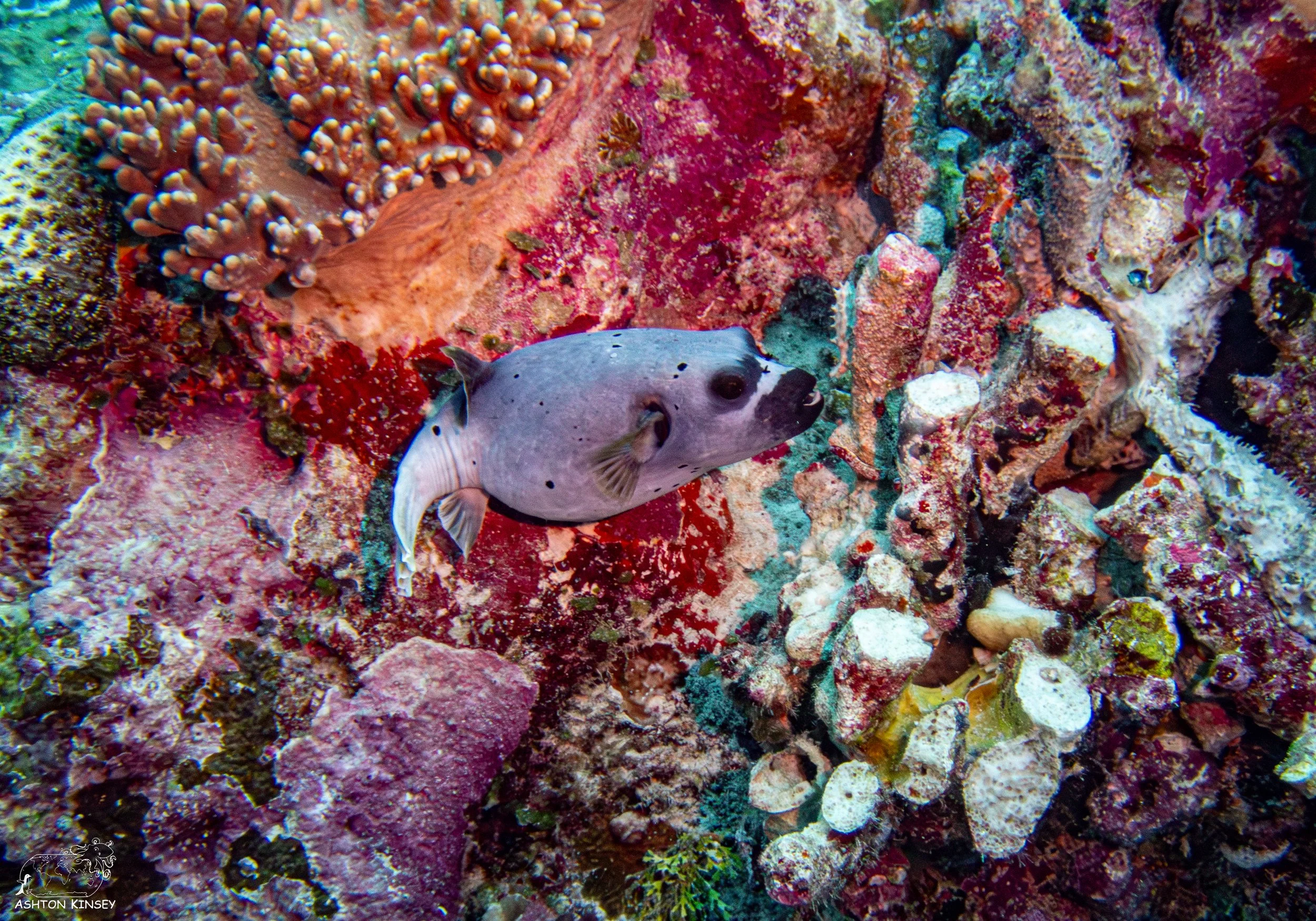Sand Bar-8.jpg