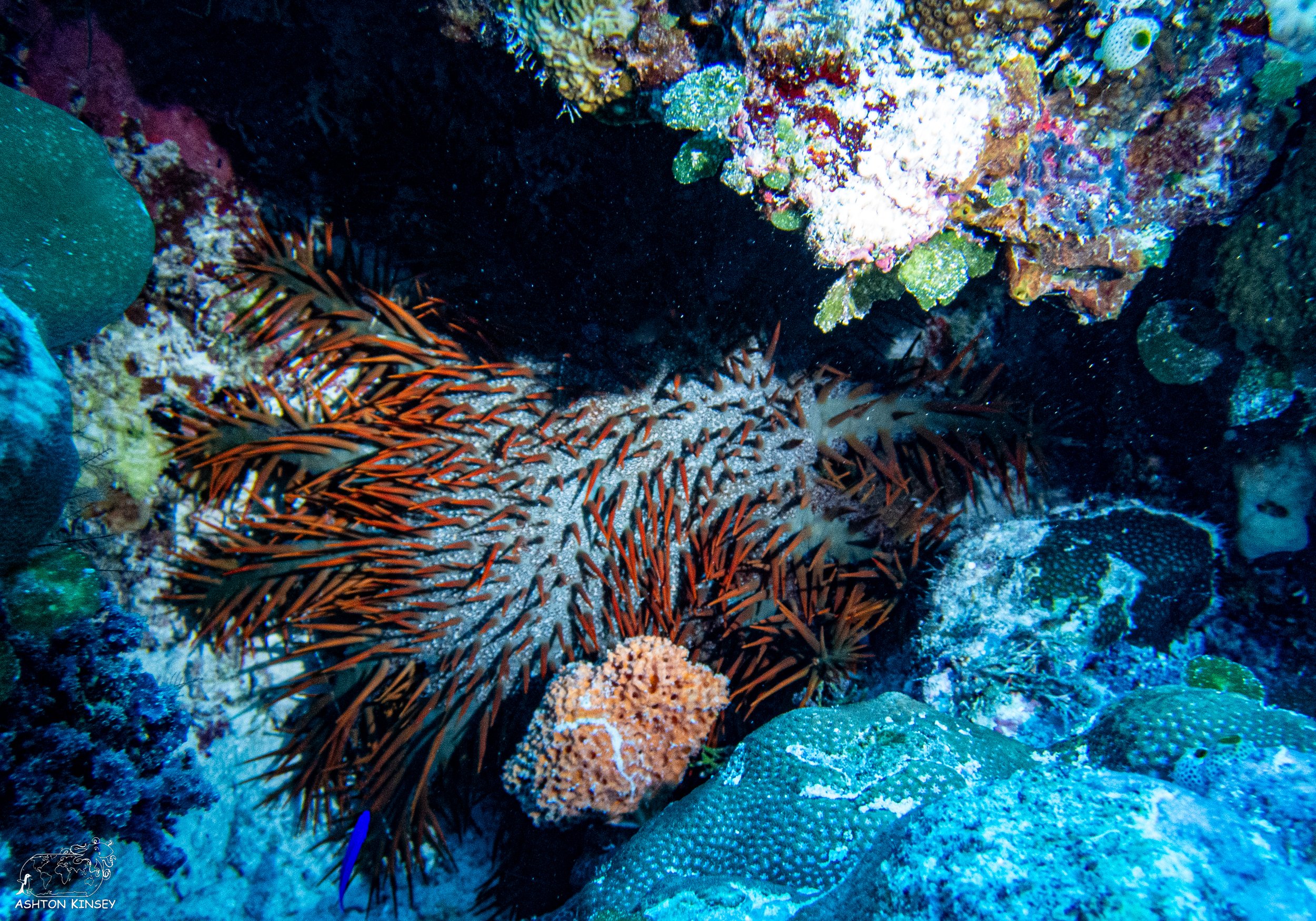 Sand Bar-14.jpg