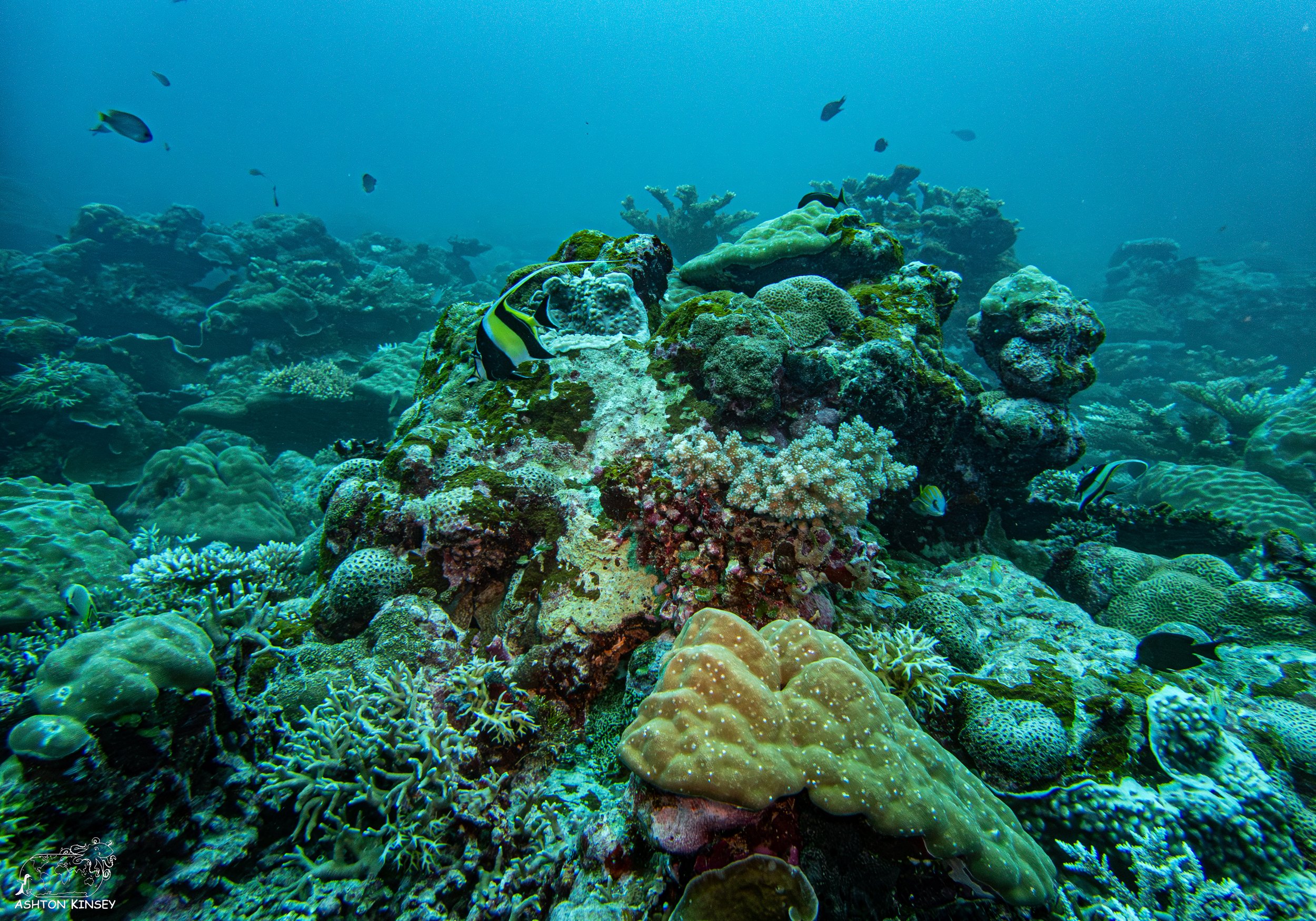 Sand Bar-4.jpg