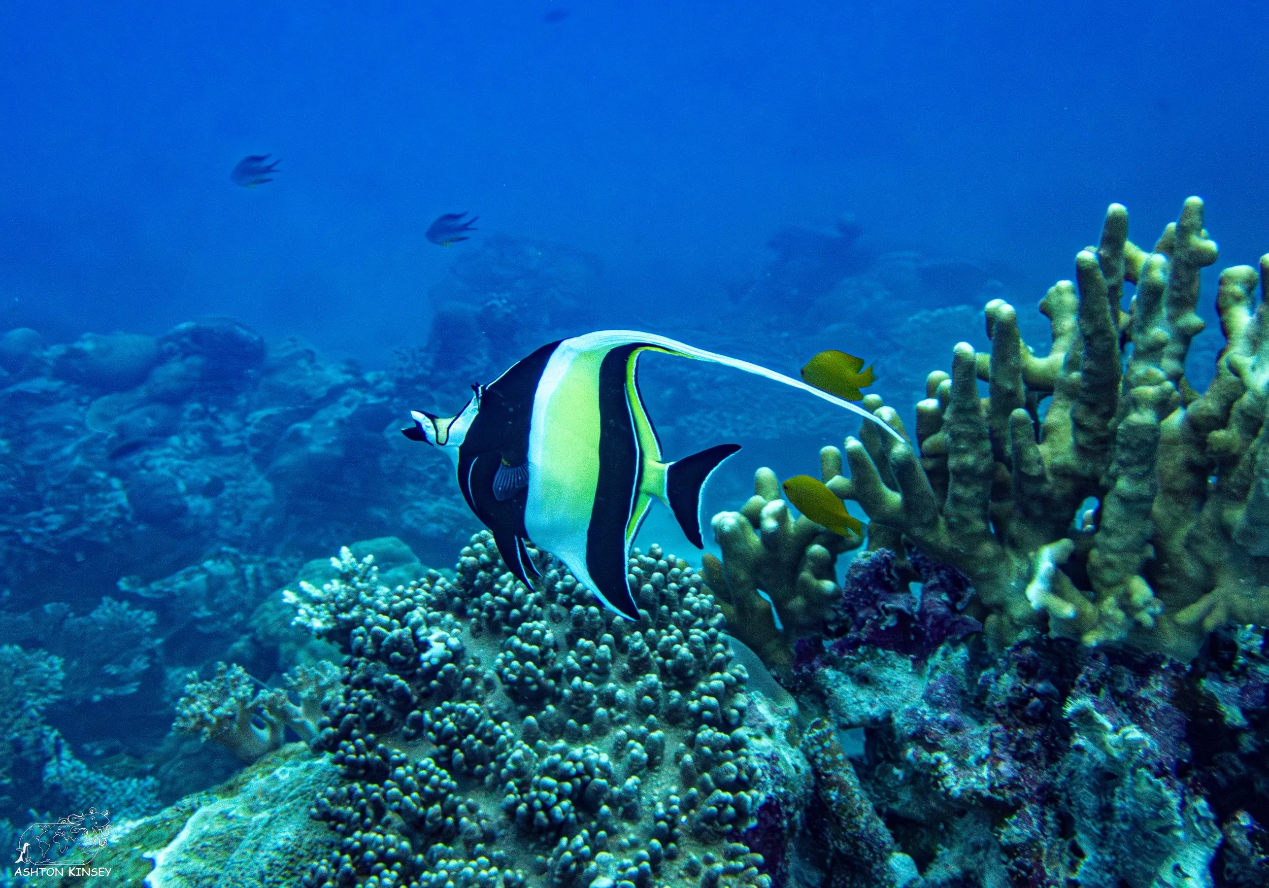 Sand Bar-7.jpg