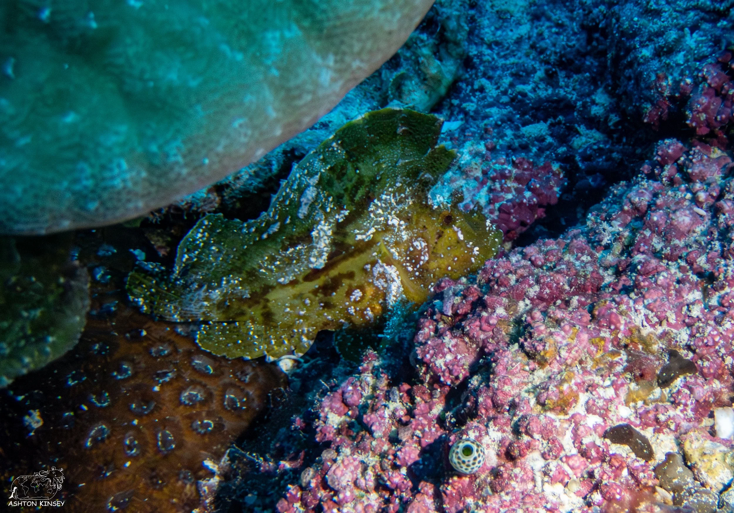 Sand Bar-3.jpg