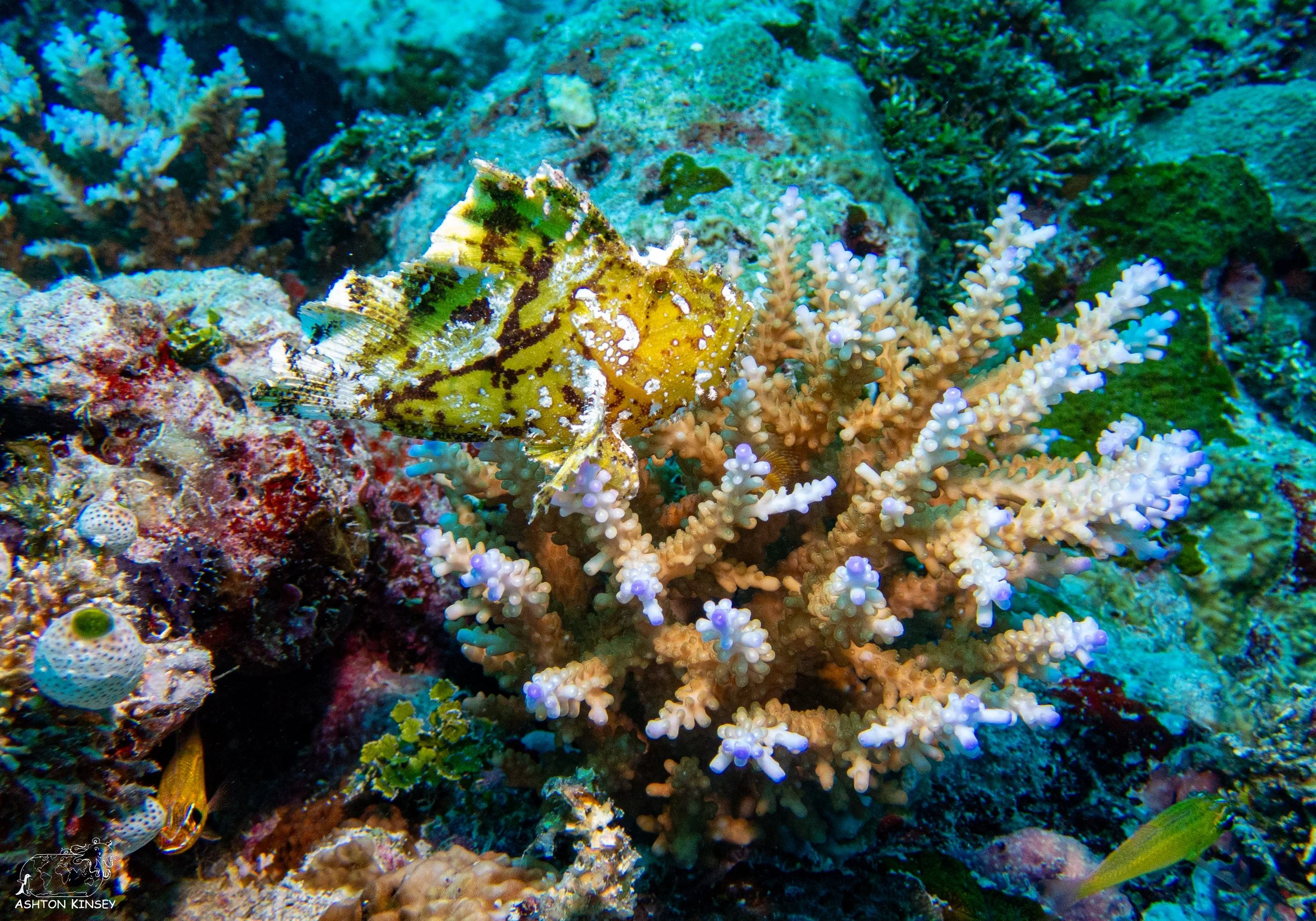 Sand Bar-5.jpg