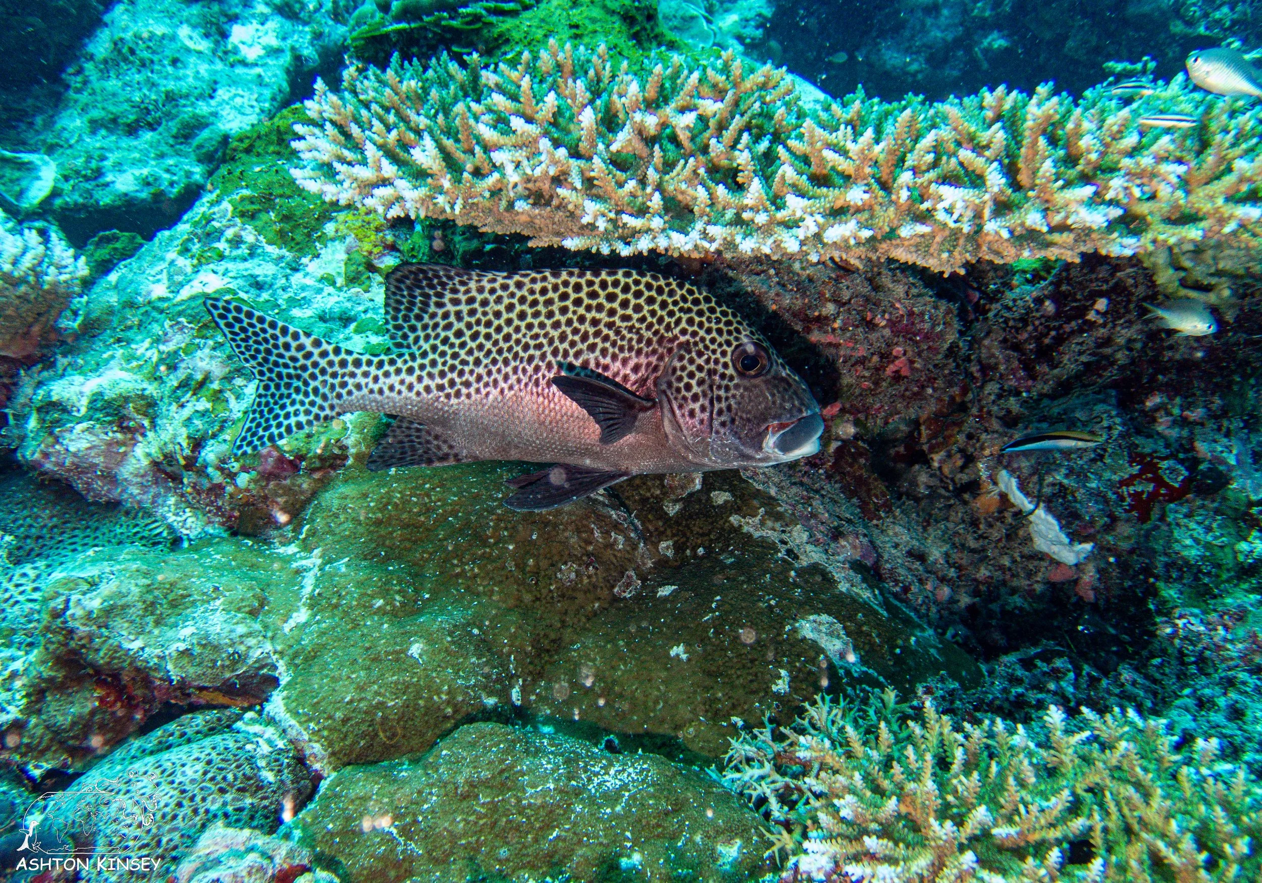 Sand Bar-12.jpg