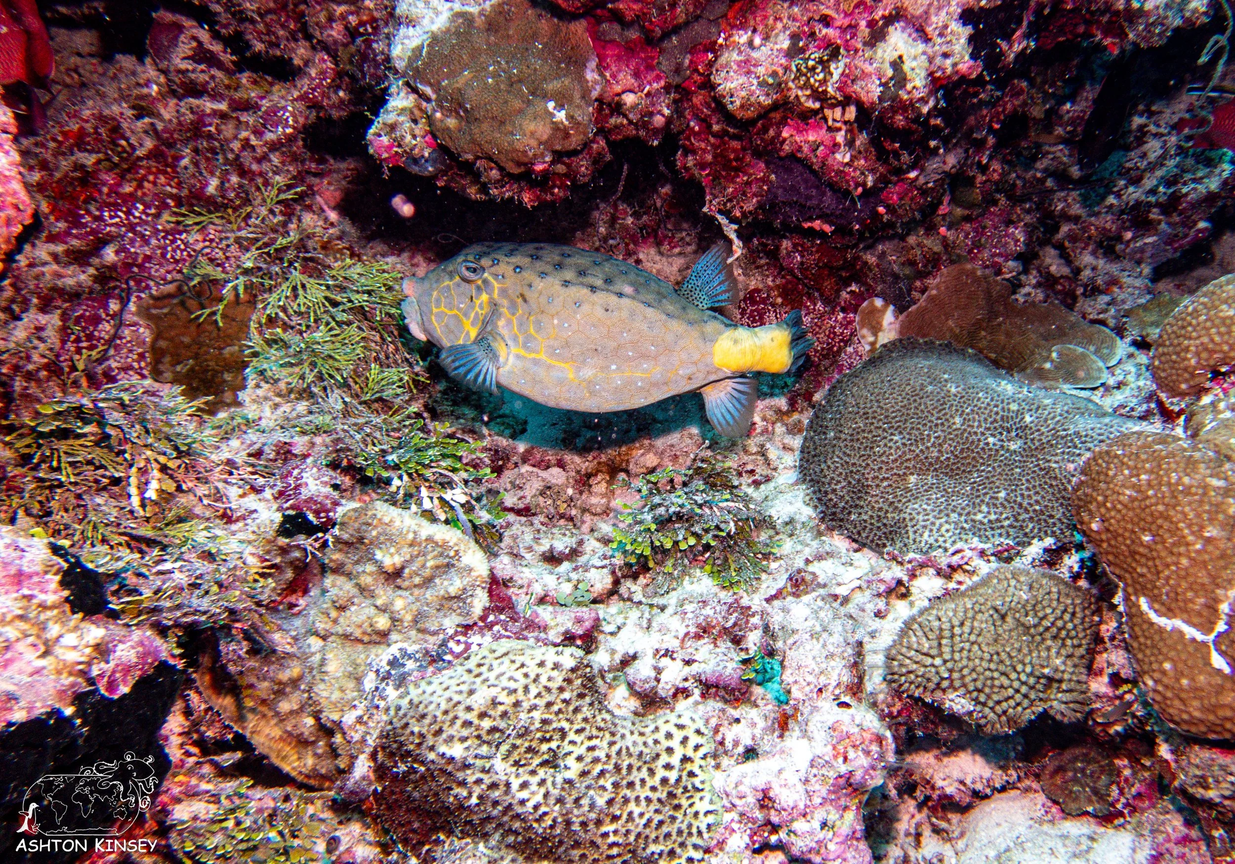 Sand Bar-13.jpg