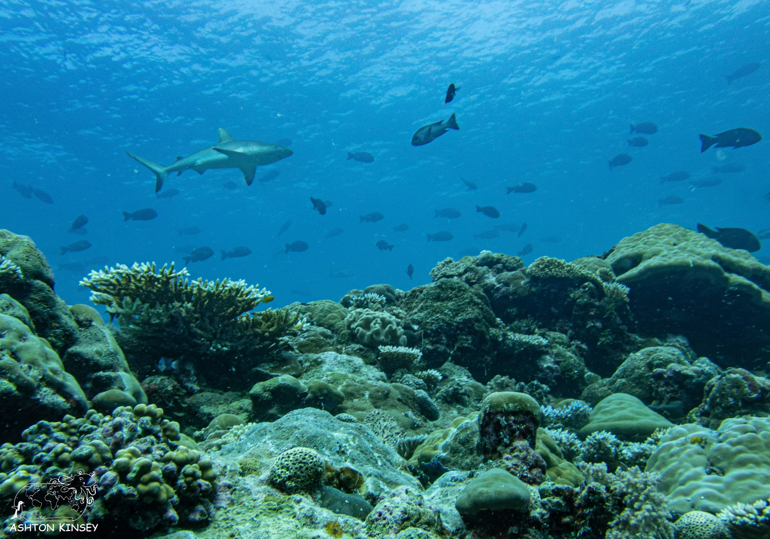 Sand Bar-14.jpg