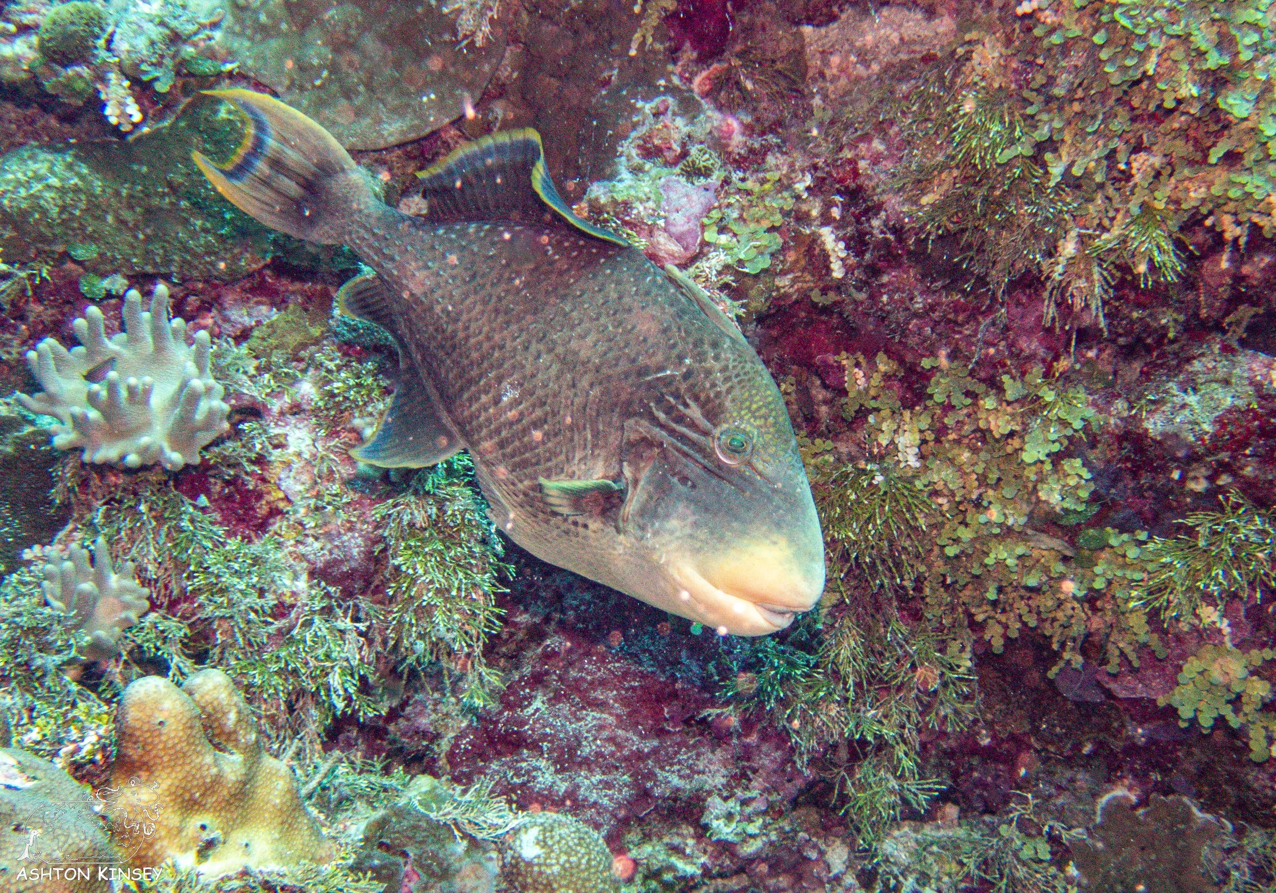 Sand Bar-15.jpg