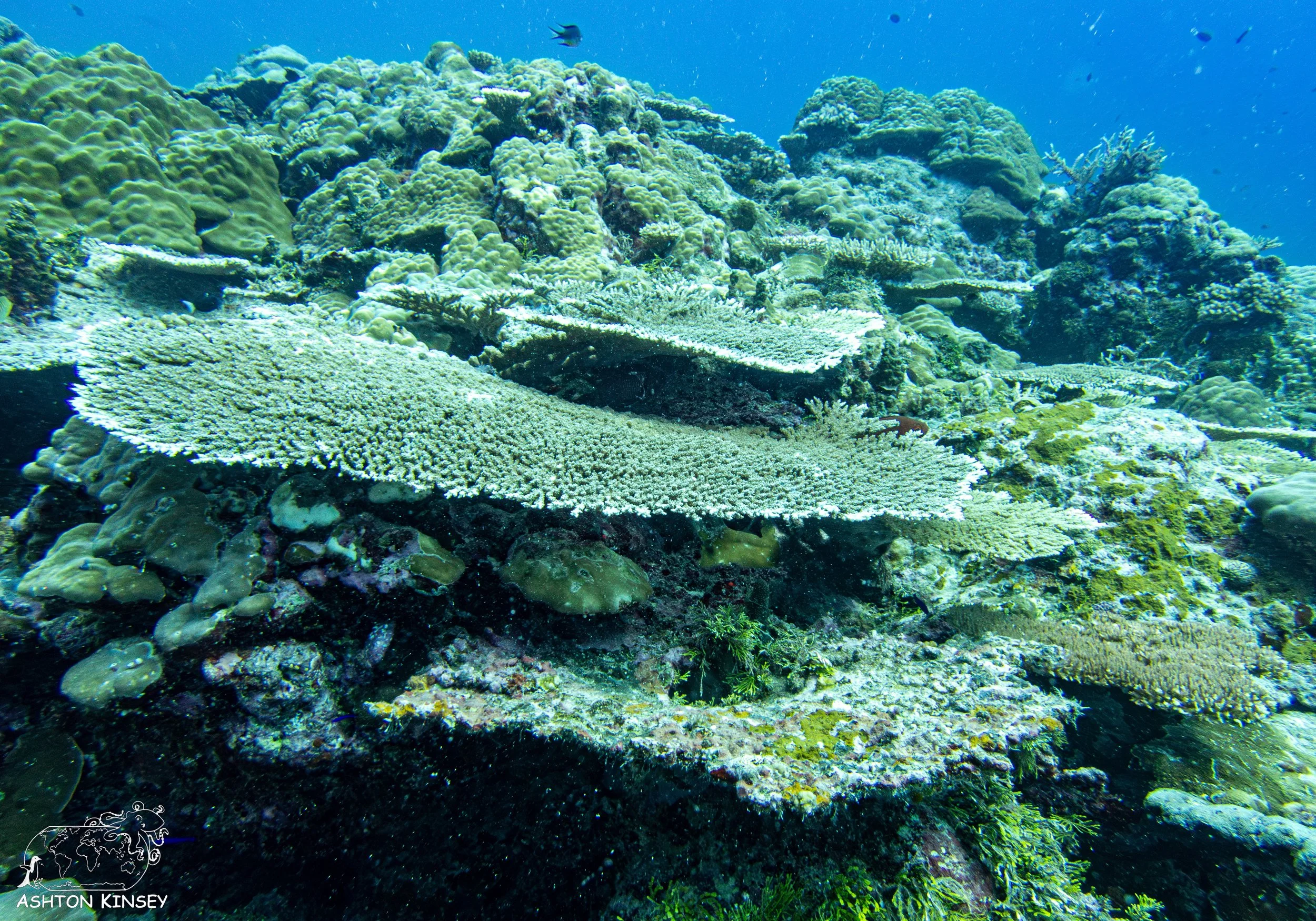 Sand Bar-18.jpg