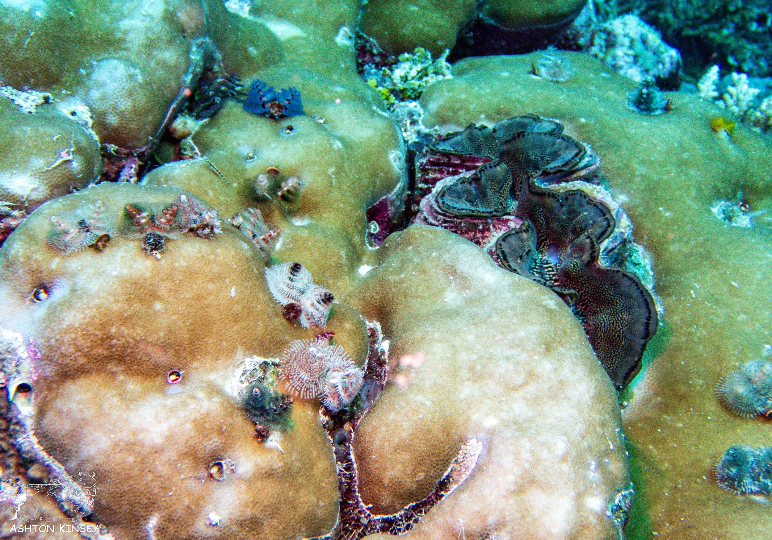 Sand Bar-17.jpg