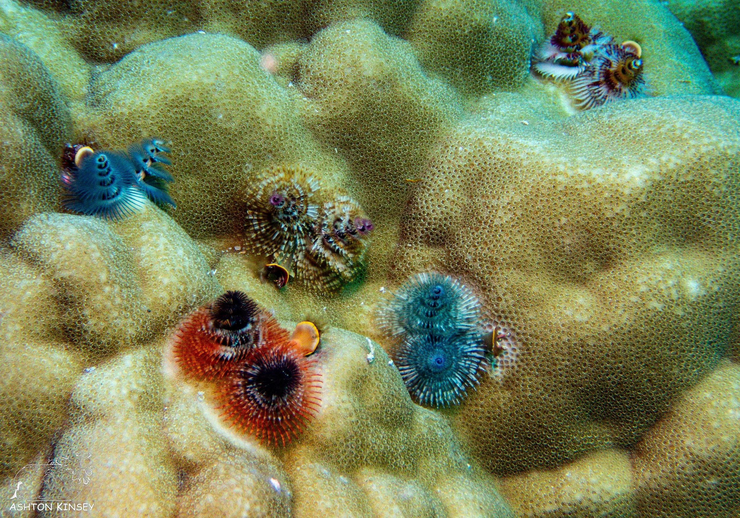 Sand Bar-20.jpg