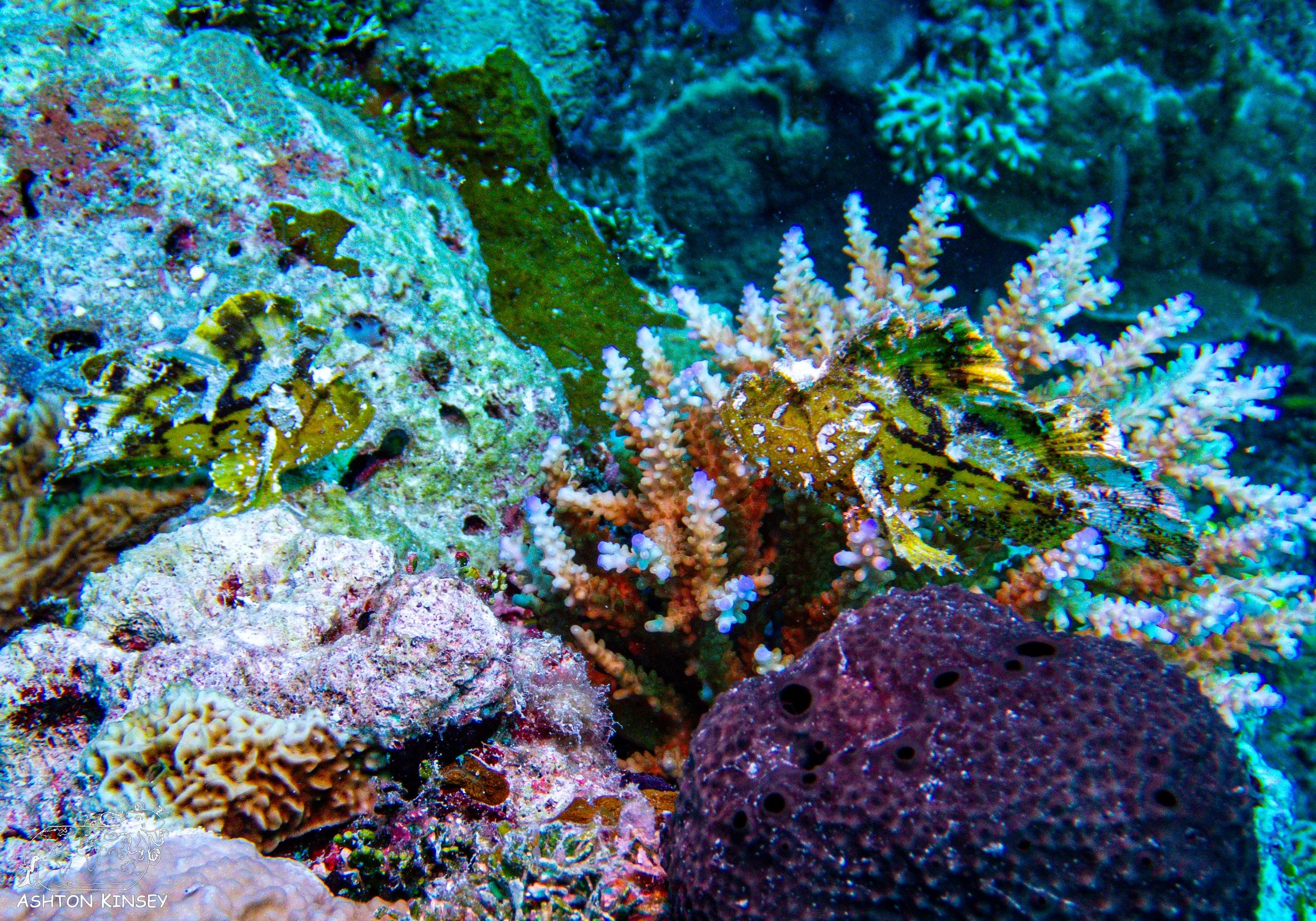 Sand Bar-3.jpg