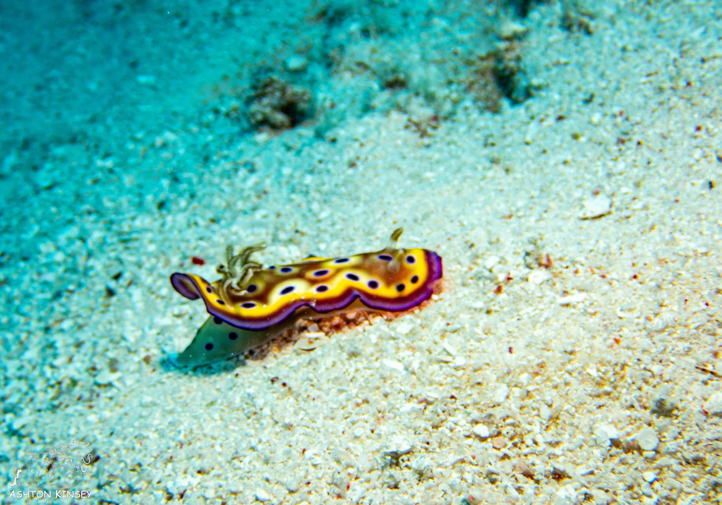 Sand Bar-7.jpg