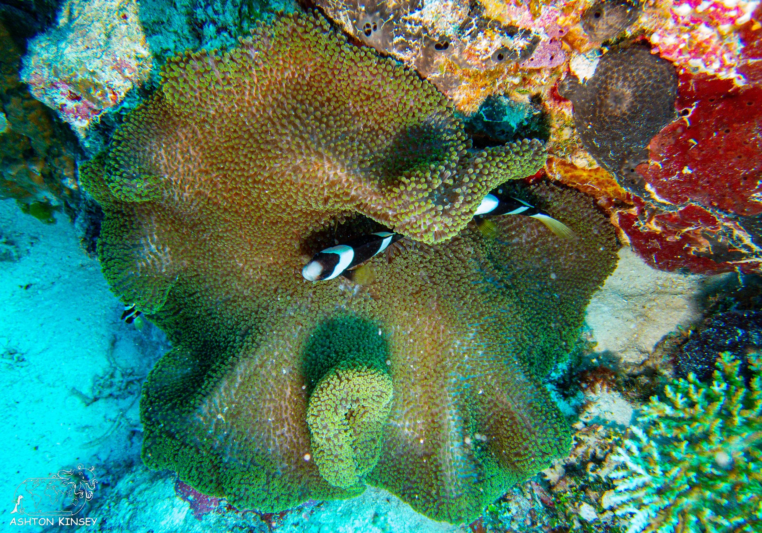 Sand Bar-5.jpg