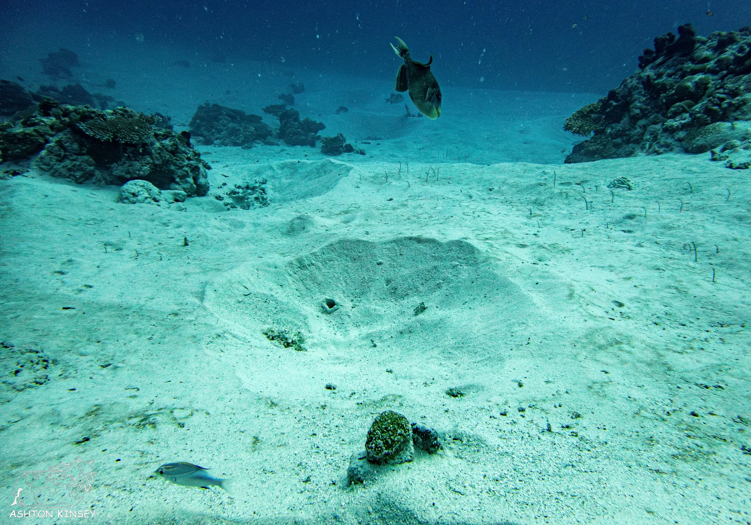 Sand Bar-10.jpg