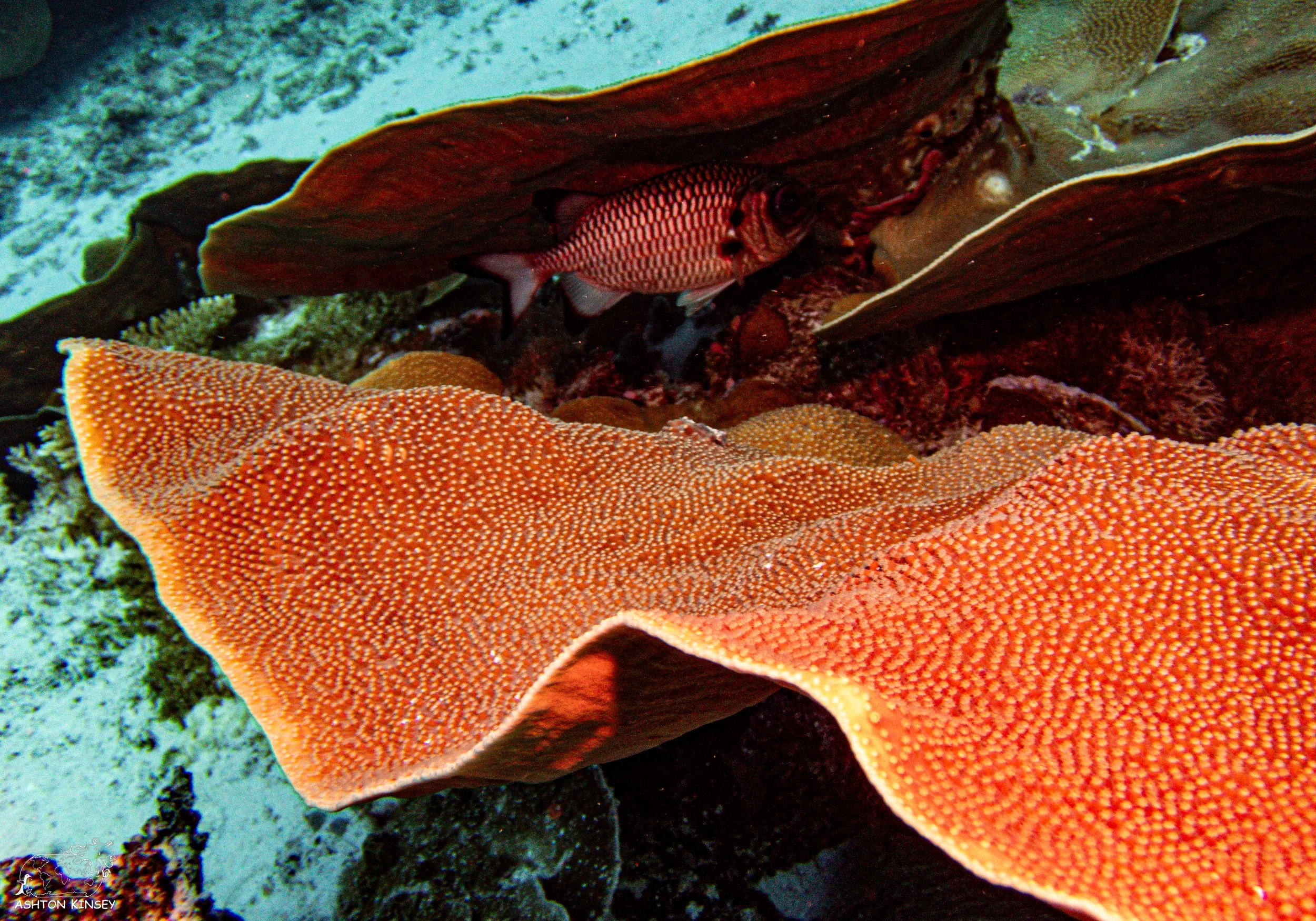 Ulong Channel-5.jpg