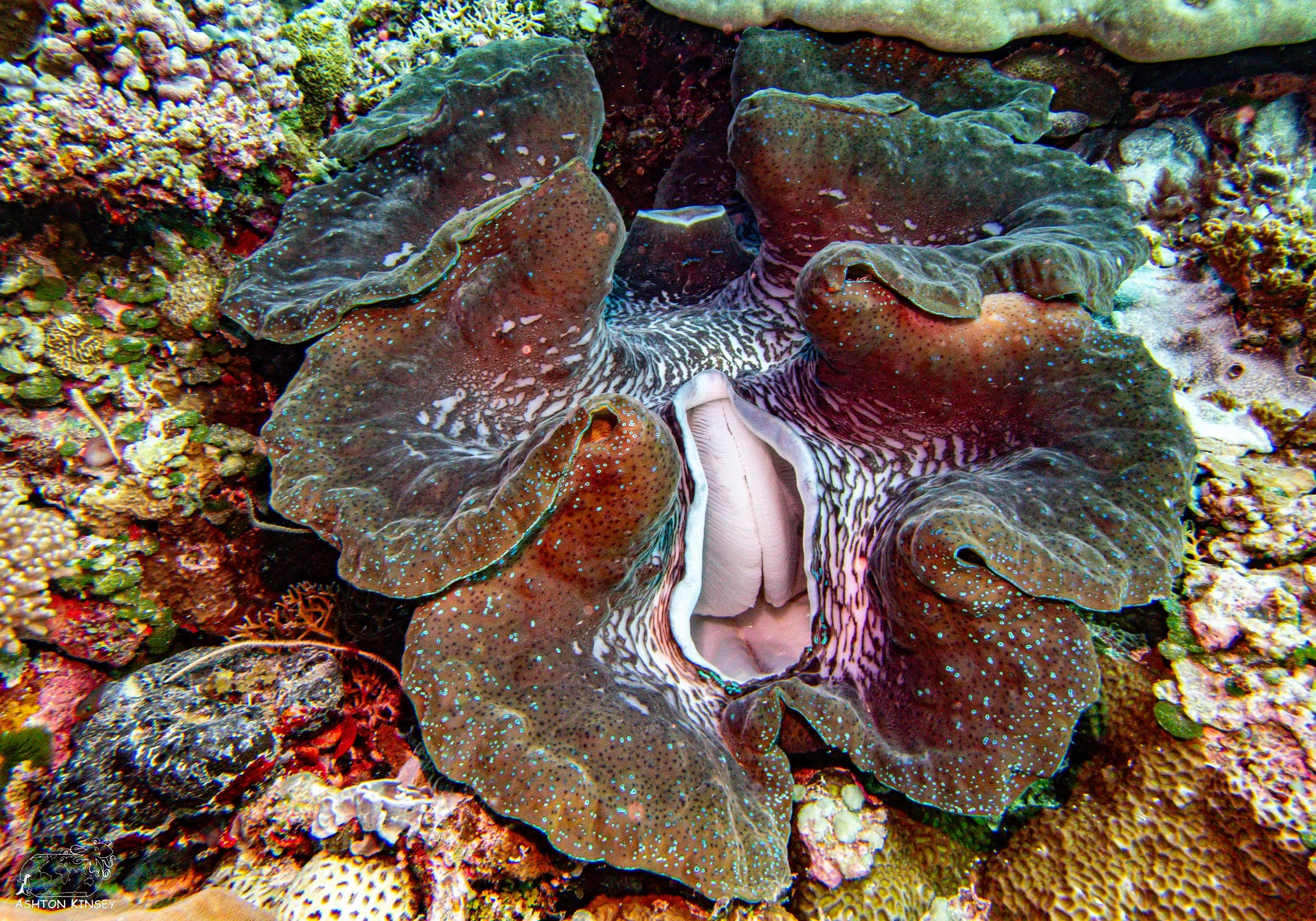 Ulong Channel-3.jpg