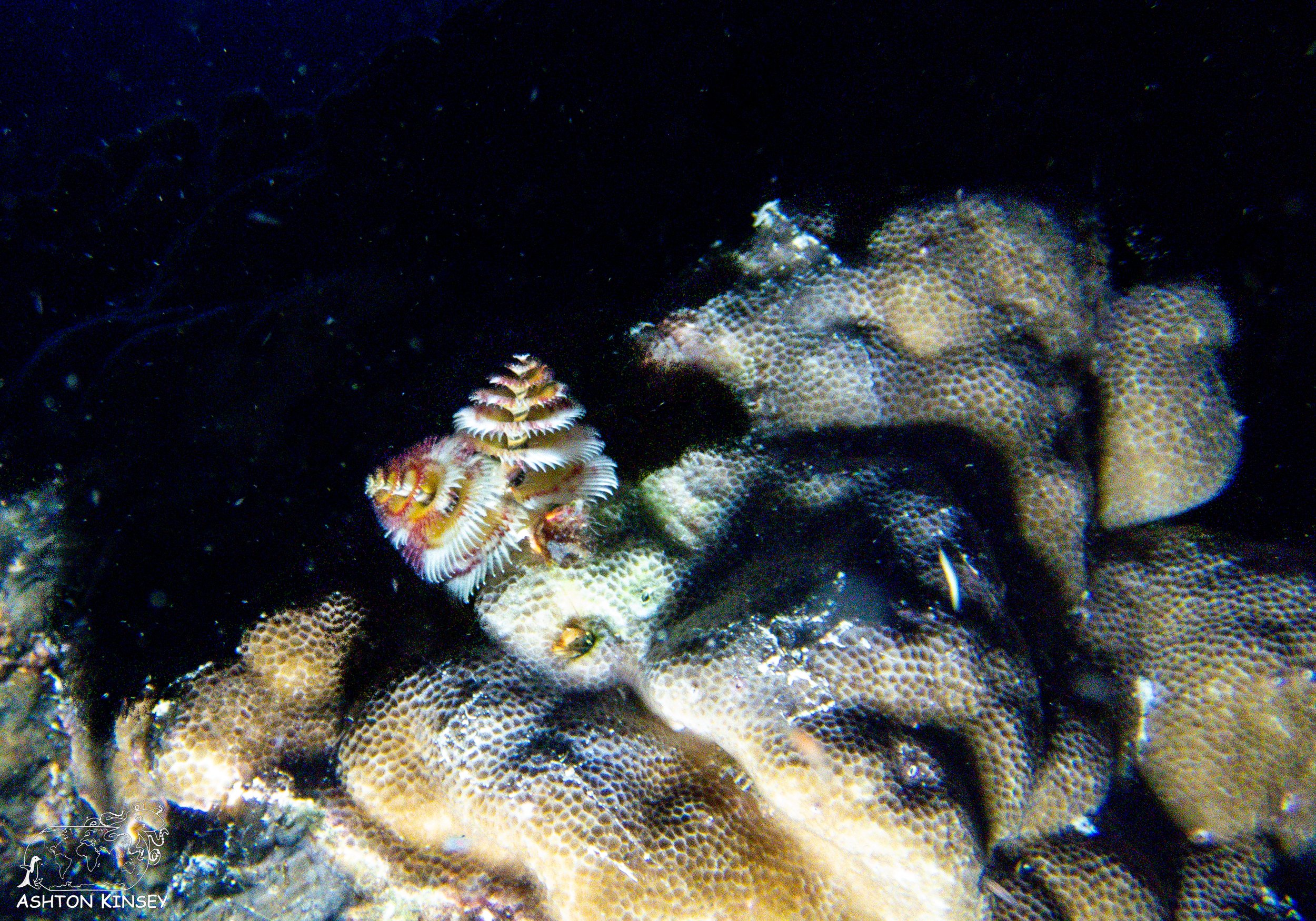 sand bar-6.jpg