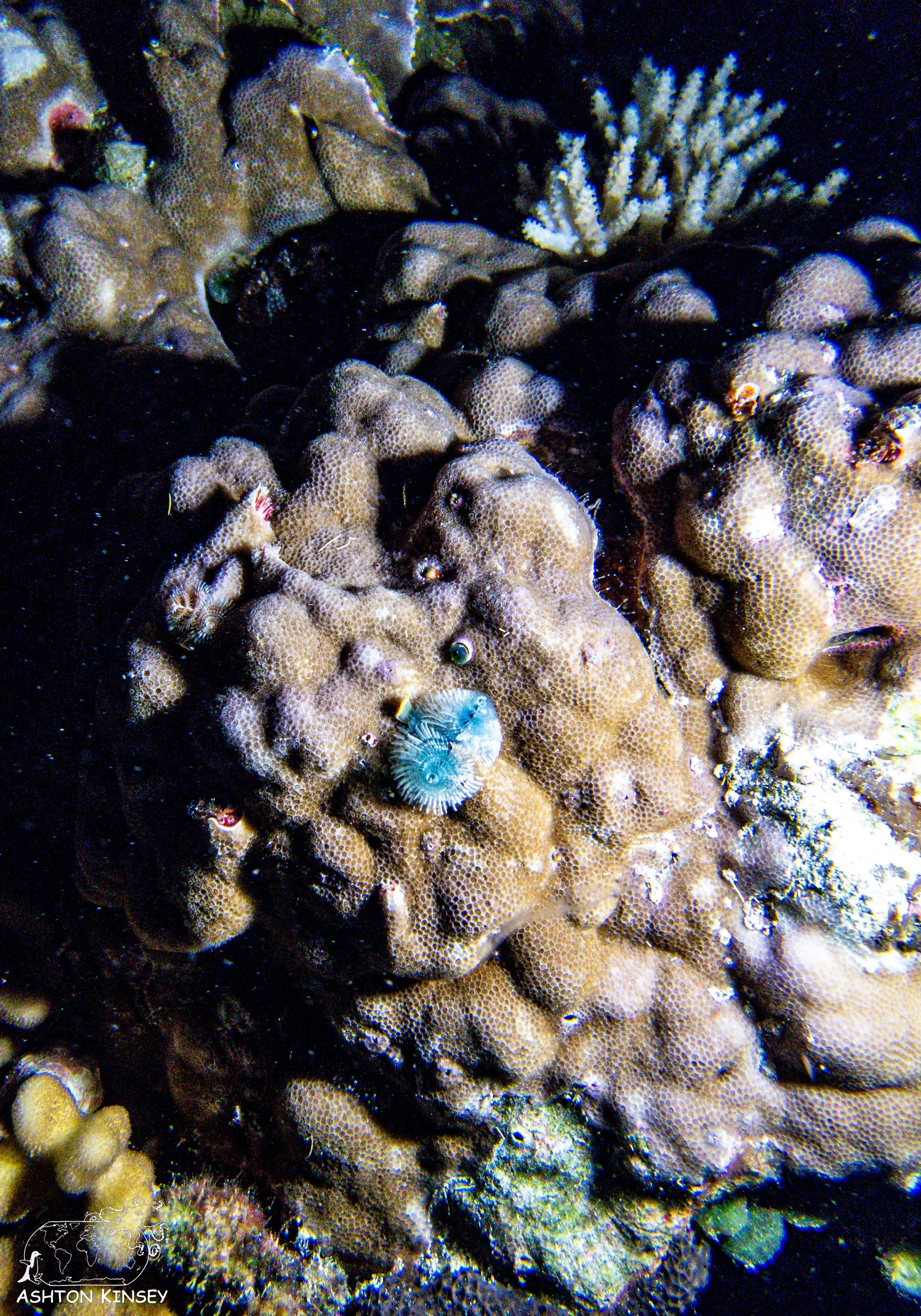 sand bar-5.jpg