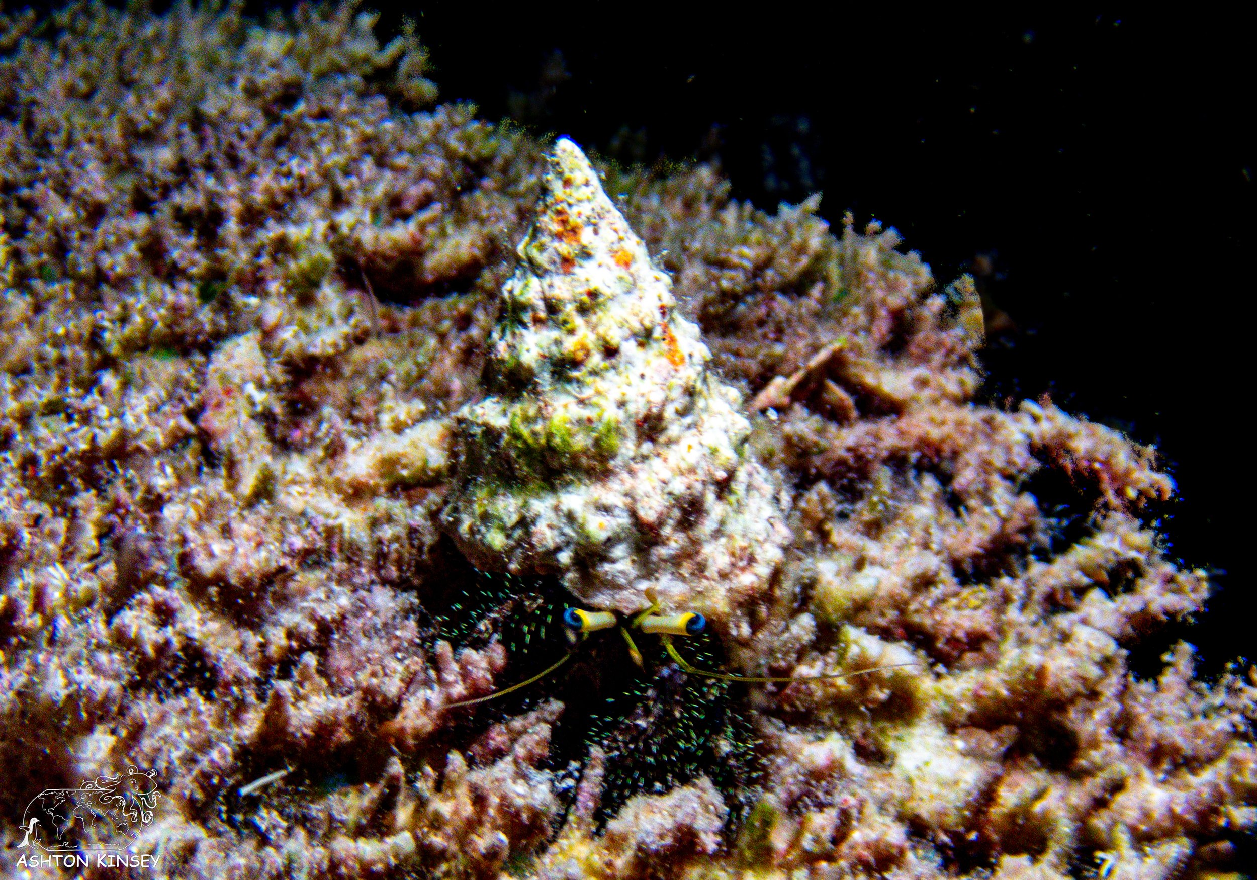 sand bar-8.jpg