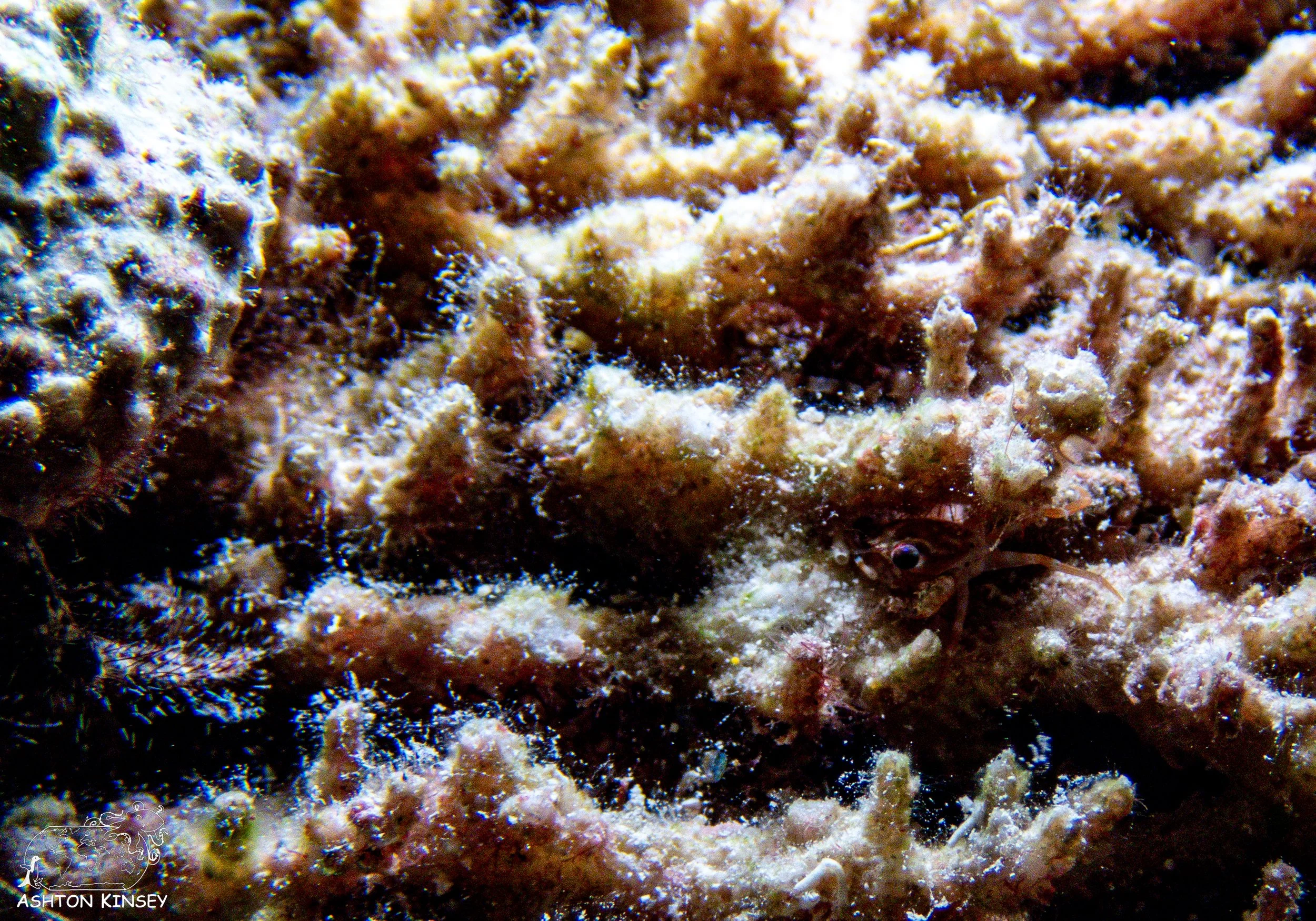 sand bar-9.jpg