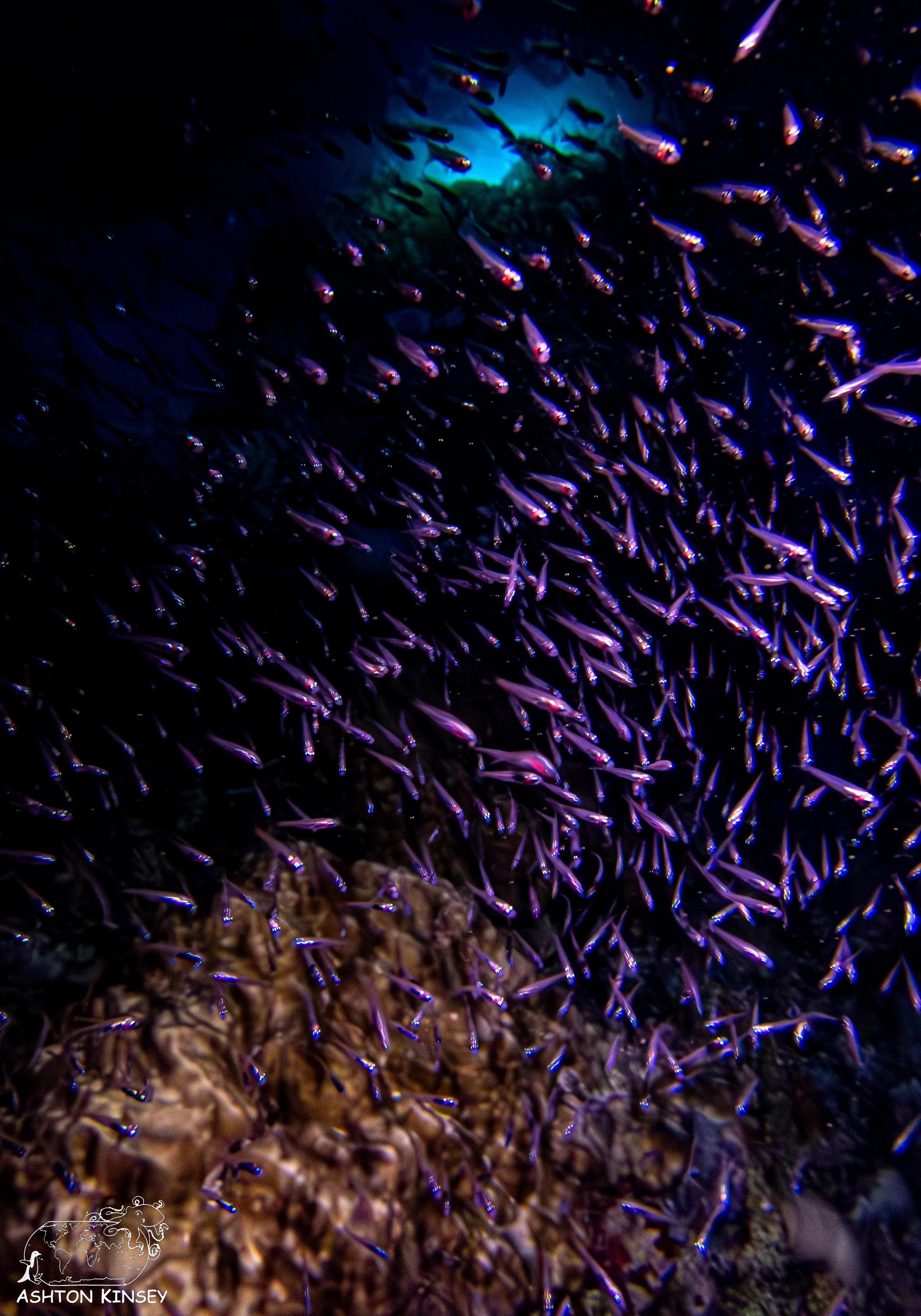 sand bar-10.jpg