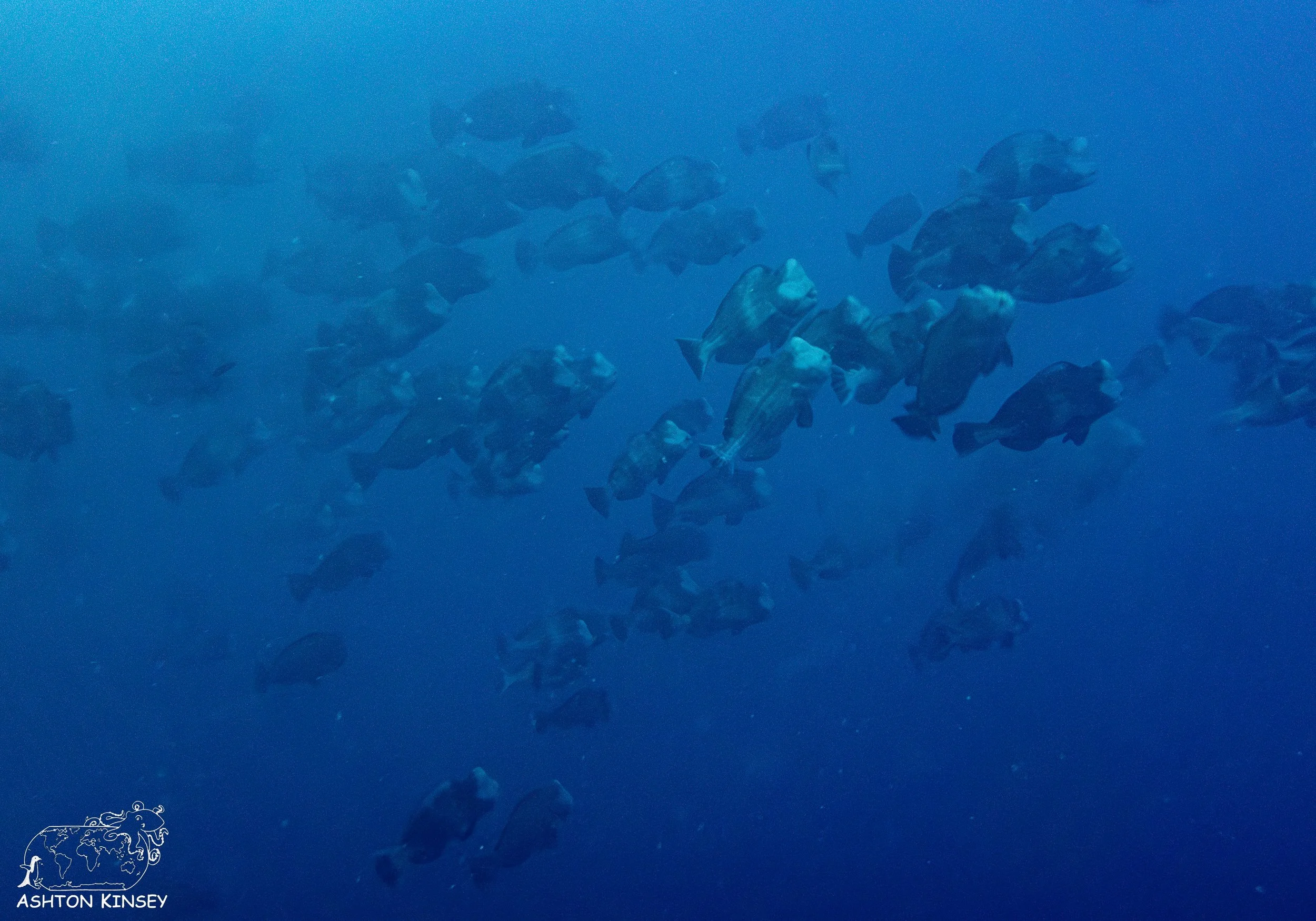 spawning part deux-14.jpg