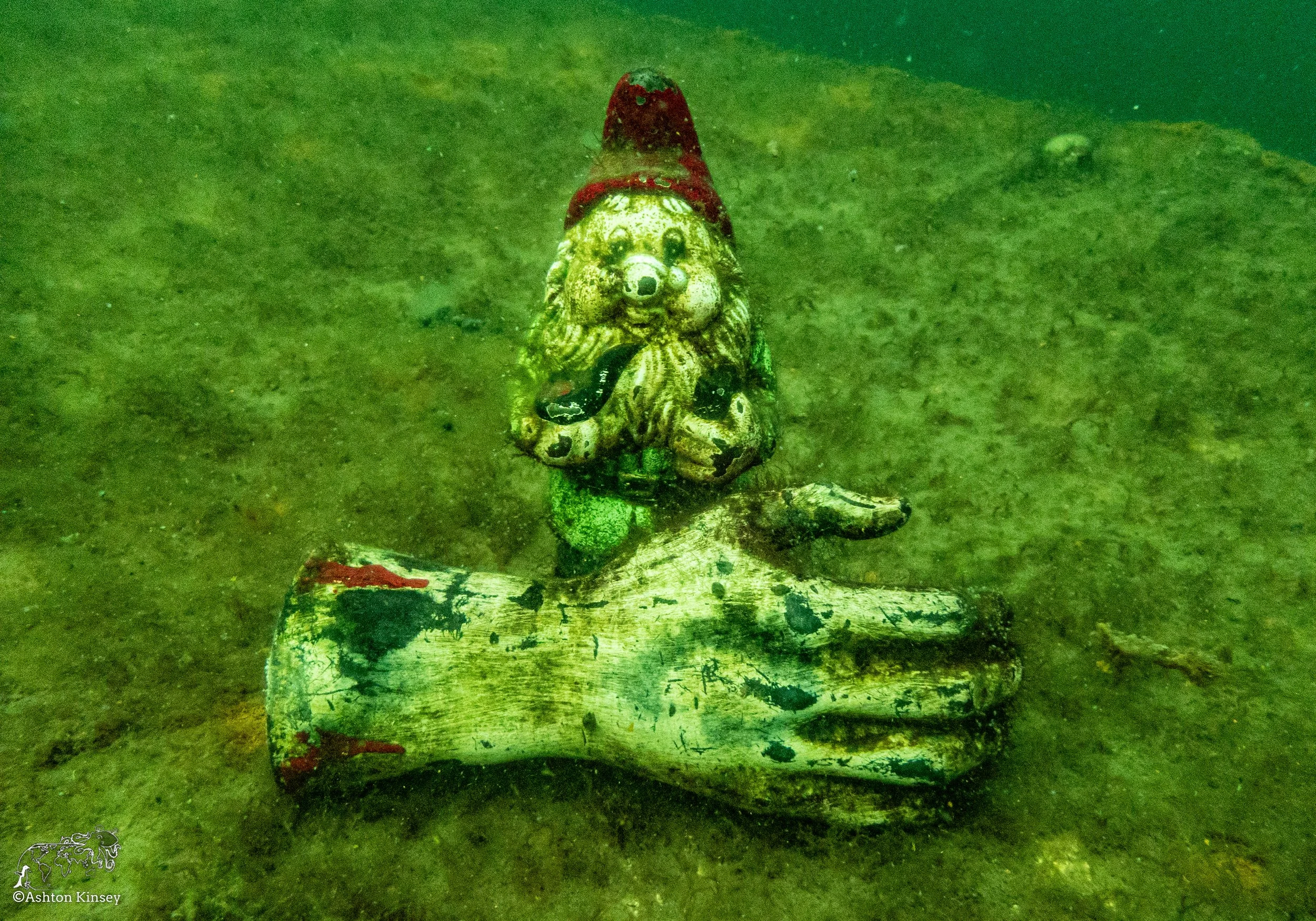  Remember to always feed the gnomes. 