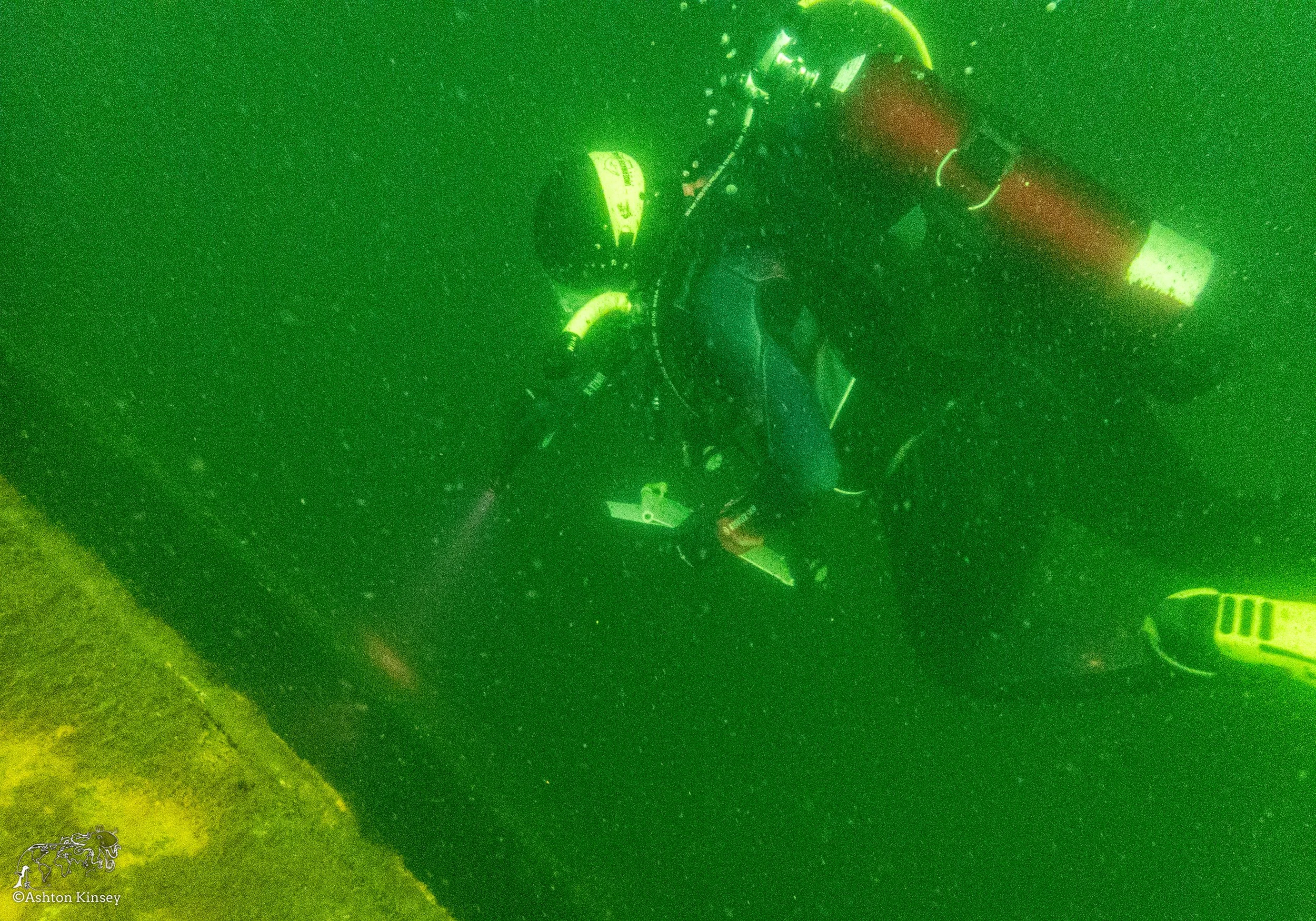 Wreck Diver-2.jpg
