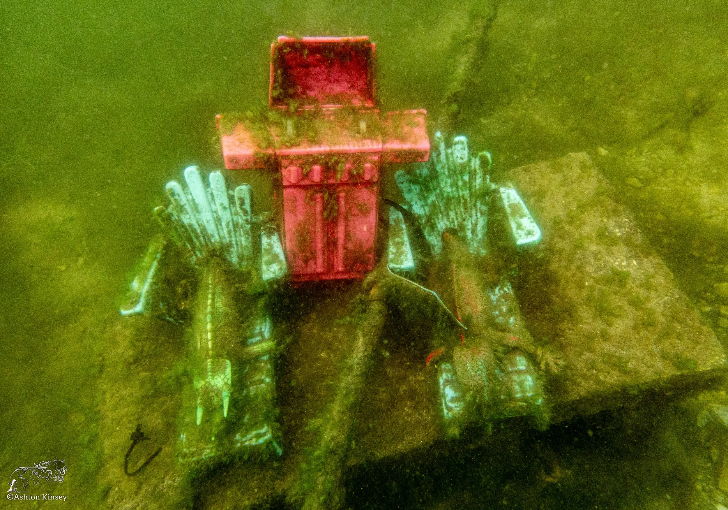 Wreck Diver-5.jpg