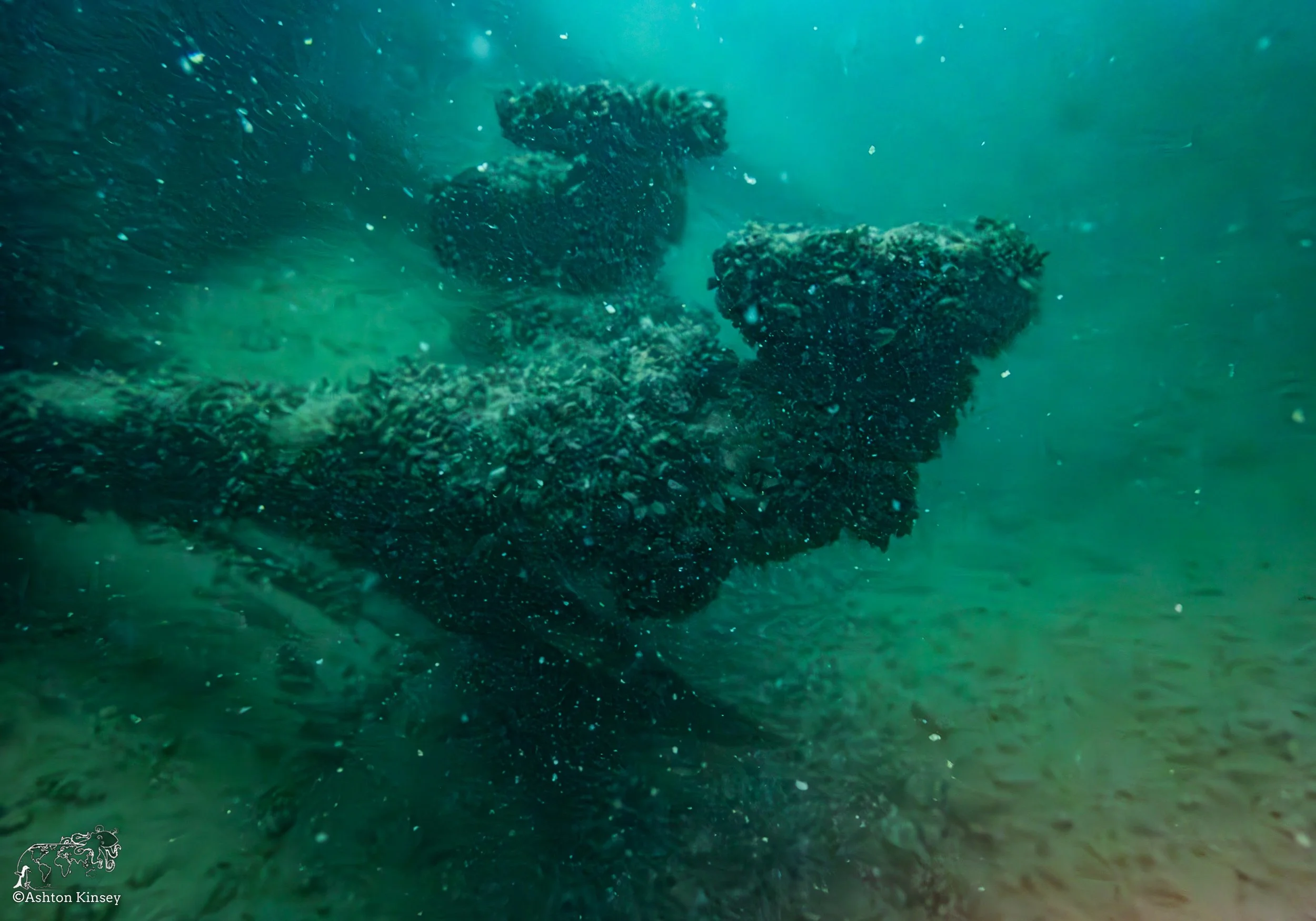 Wreck Diver-20.jpg