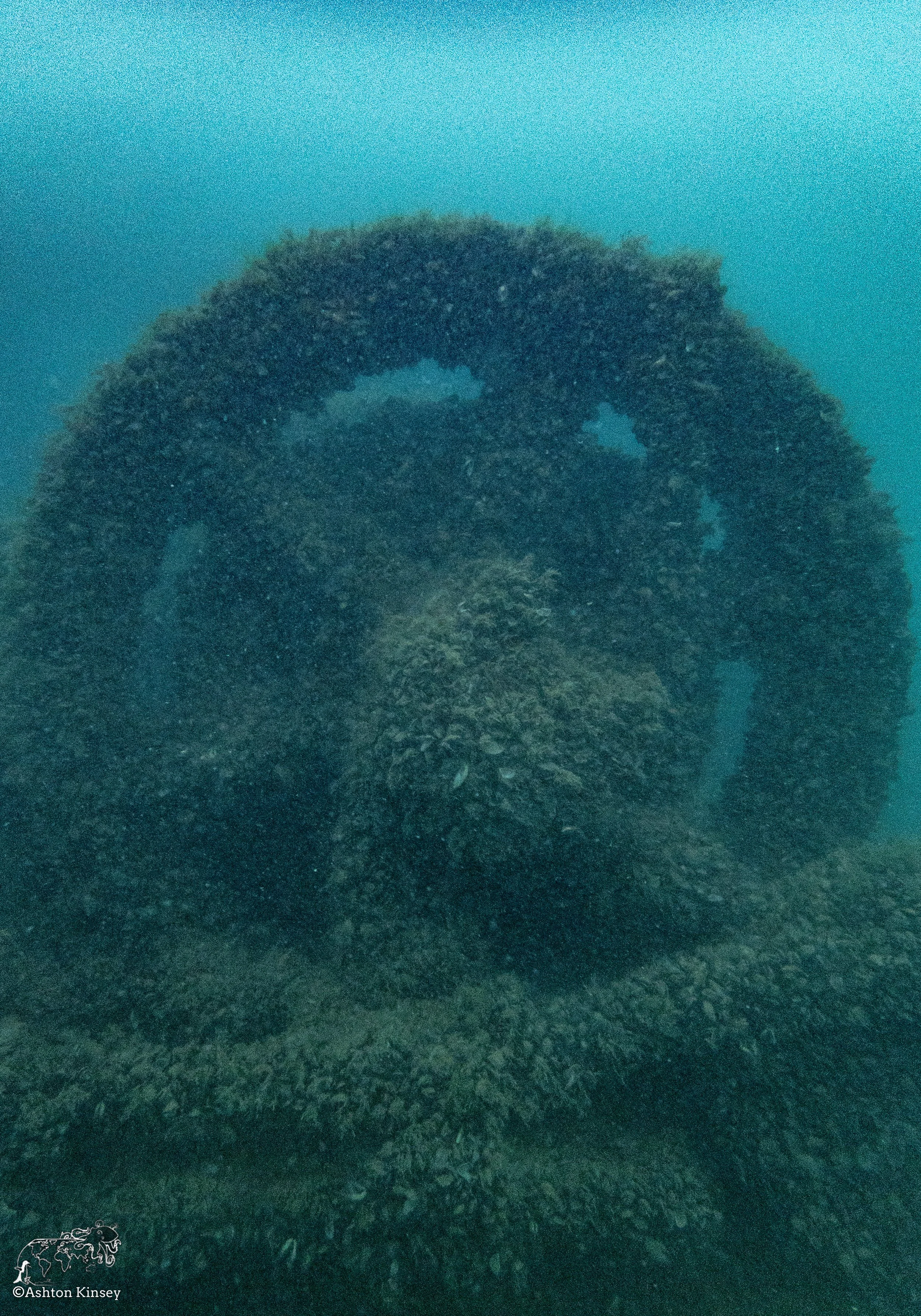 Wreck Diver-21.jpg