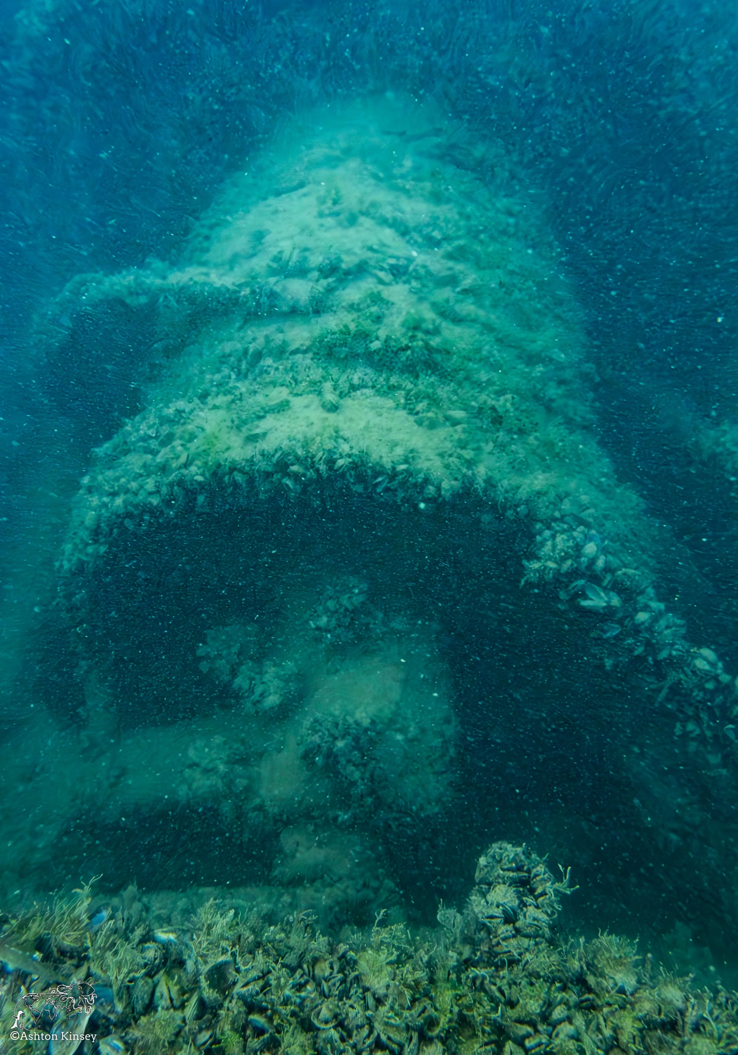 Wreck Diver-23.jpg