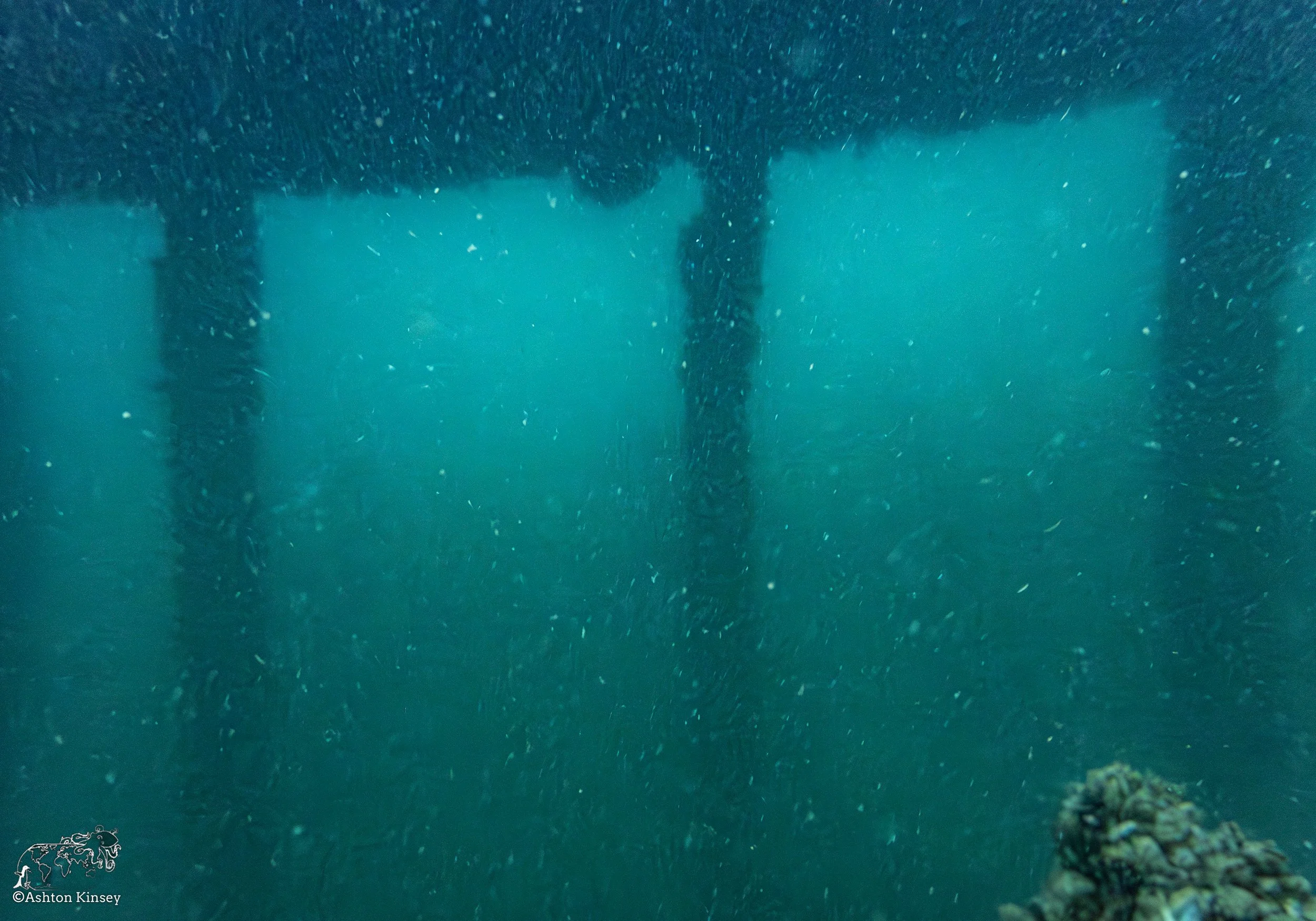 Wreck Diver-6.jpg