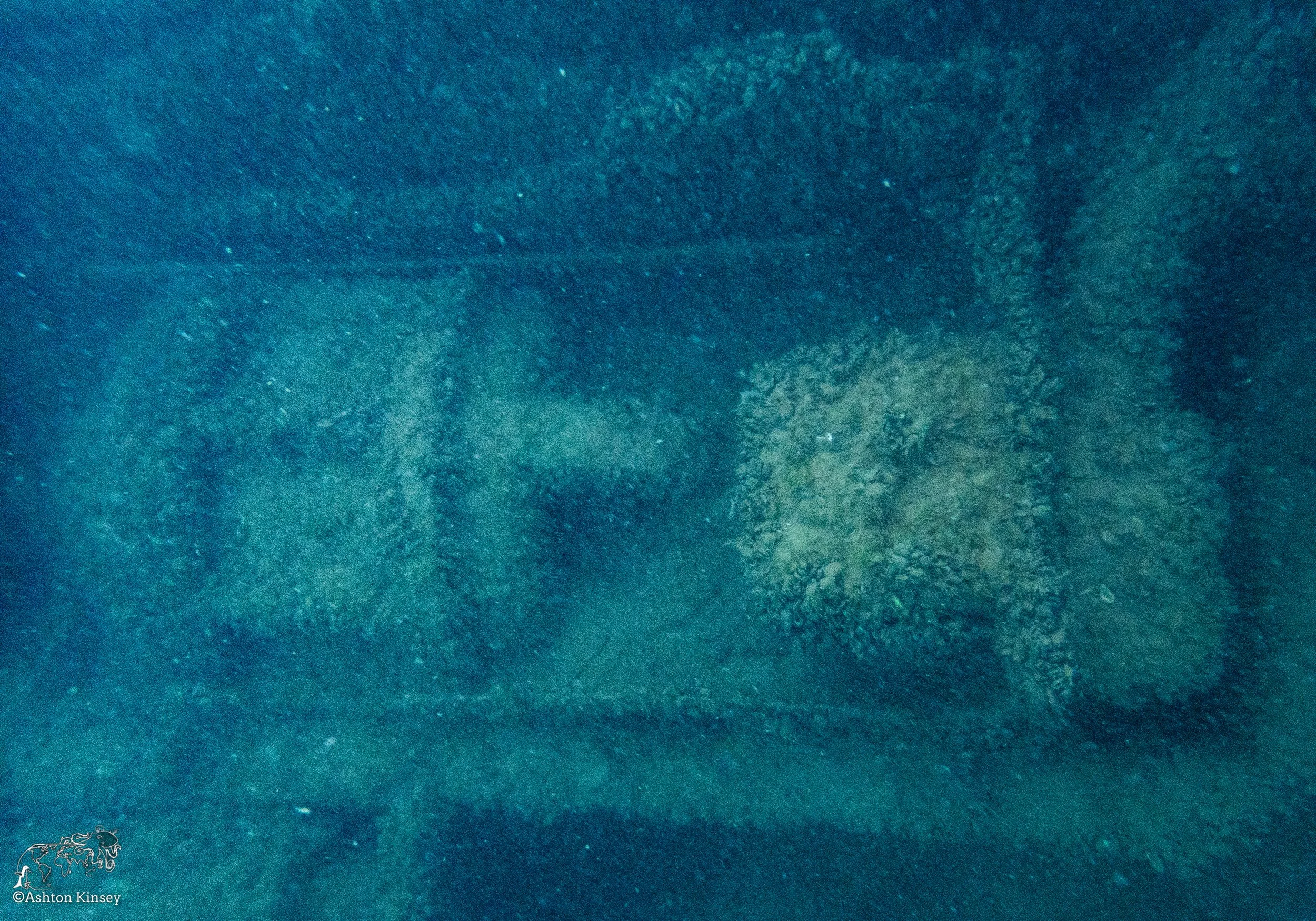Wreck Diver-7.jpg